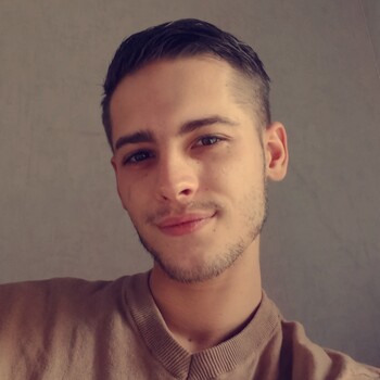 Alexandre Andrieux - Pau - 64000 – Conseiller SAFTI