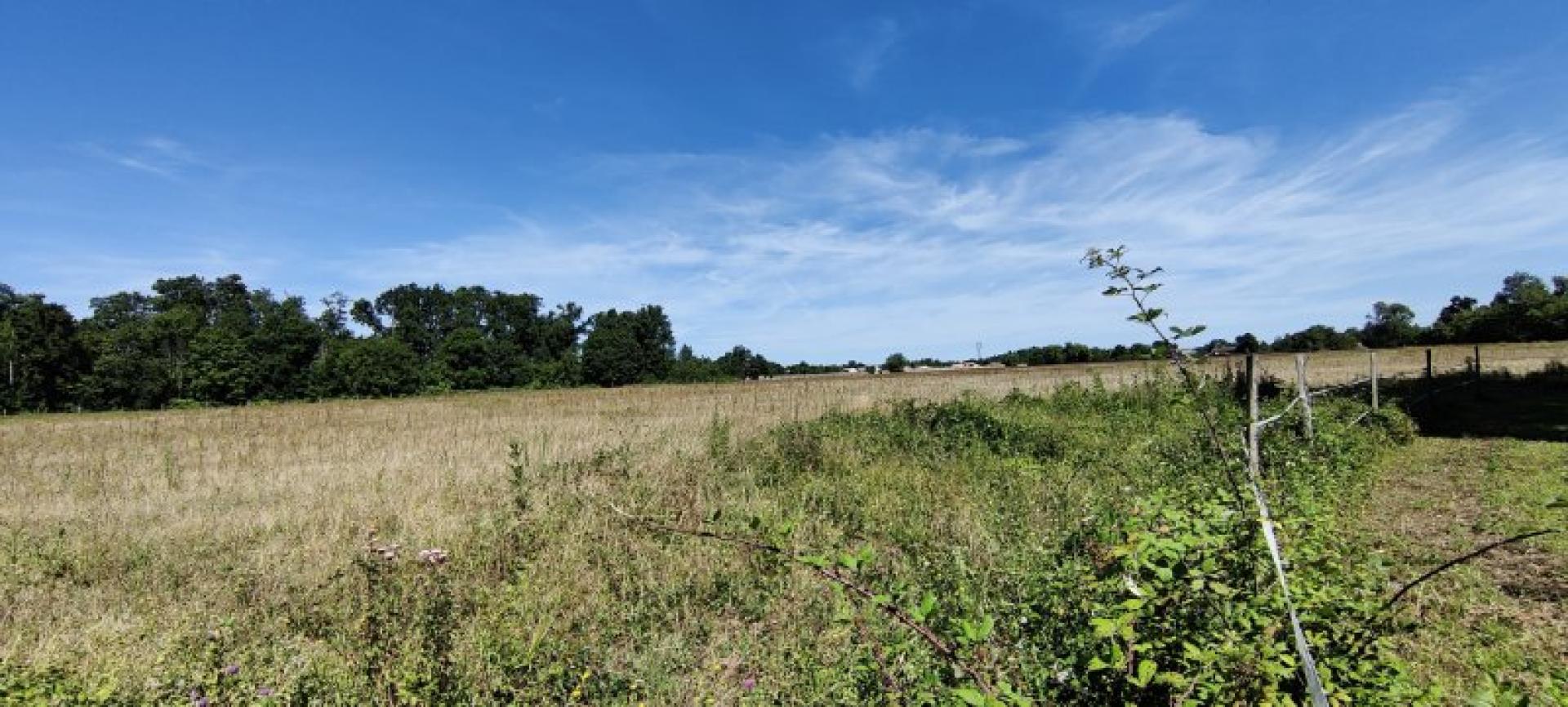 Photo 16 of the listing.