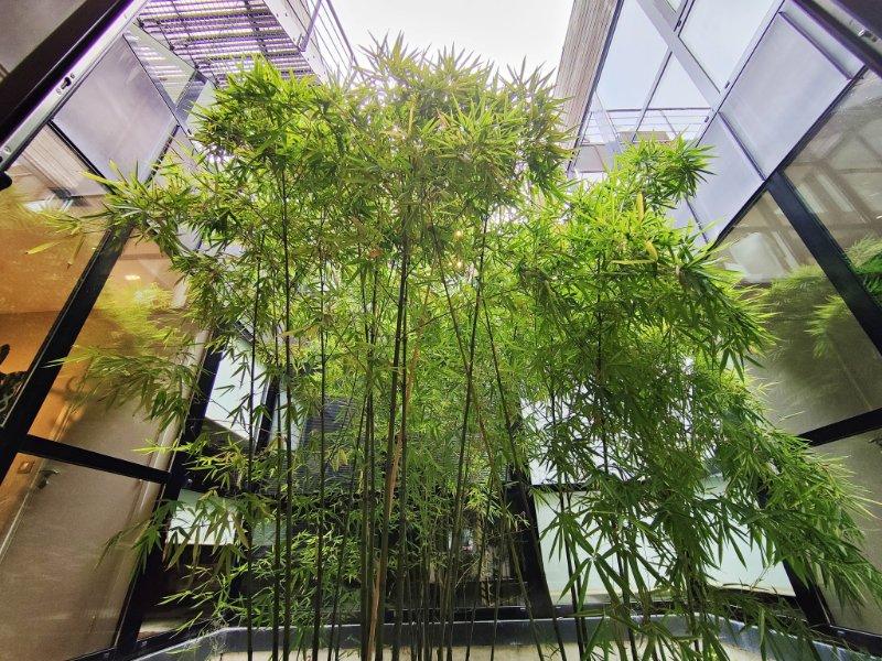 Photo 5 de l'annonce.