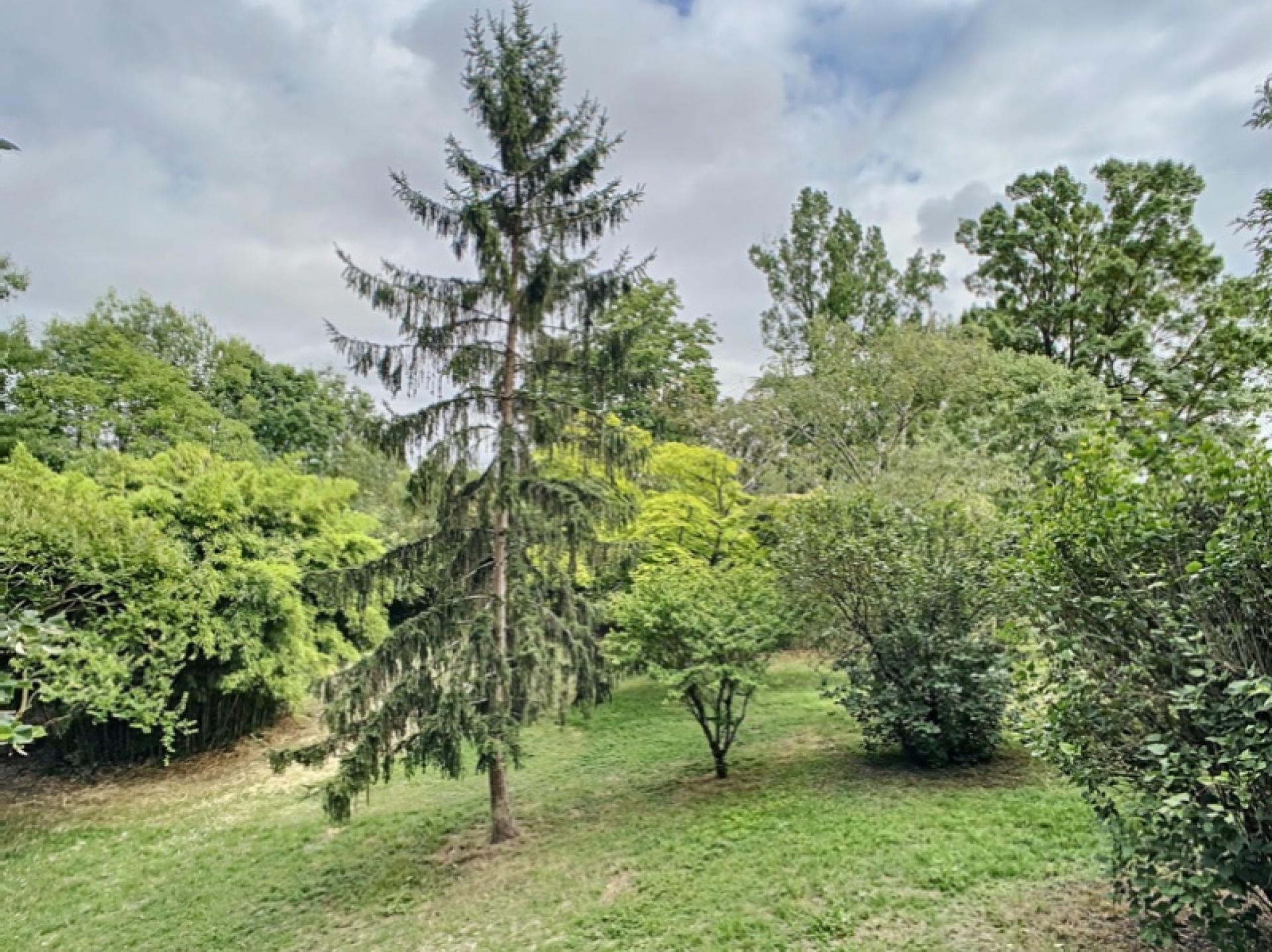 Photo 12 of the listing.