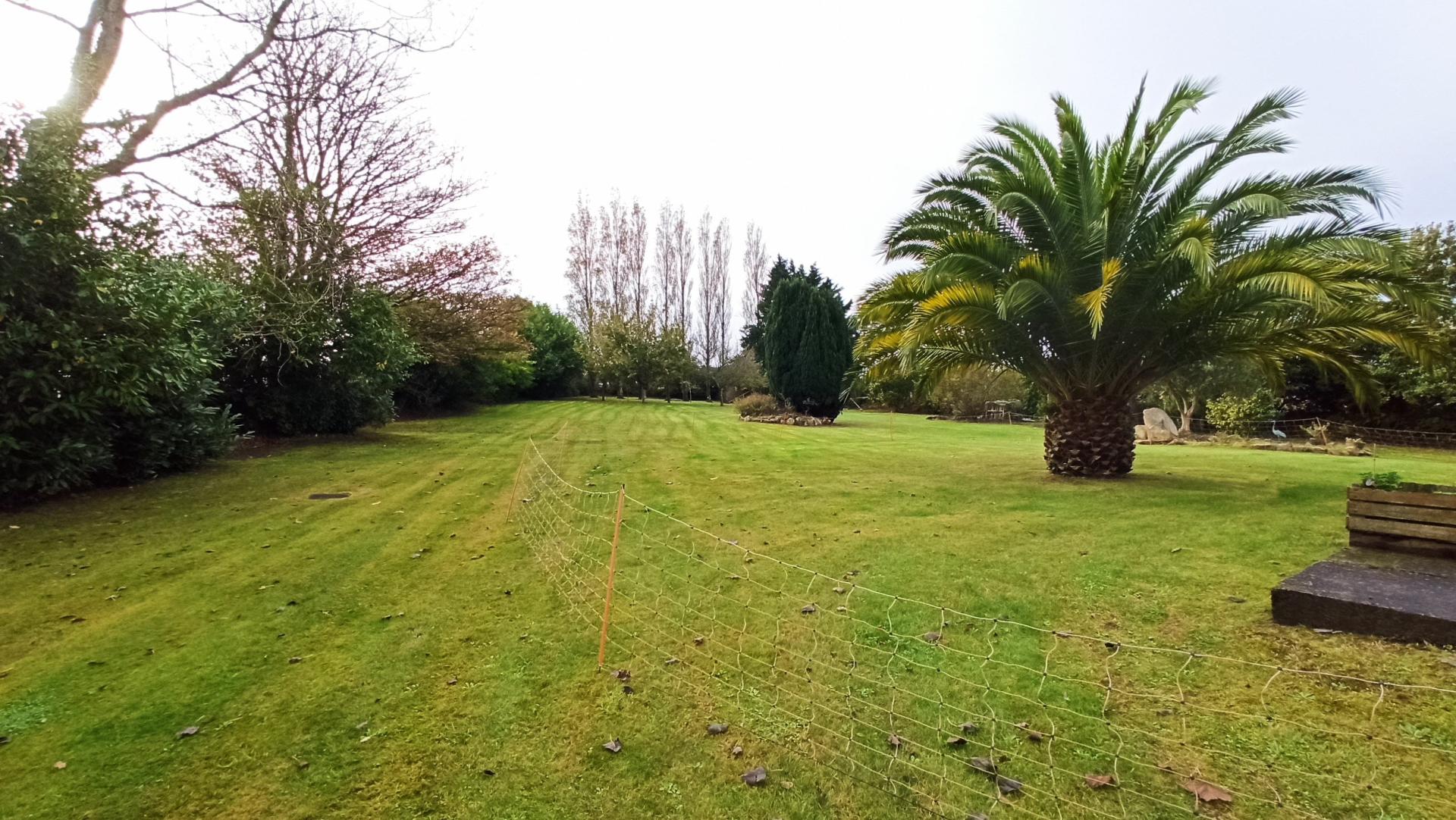 Photo 13 of the listing.