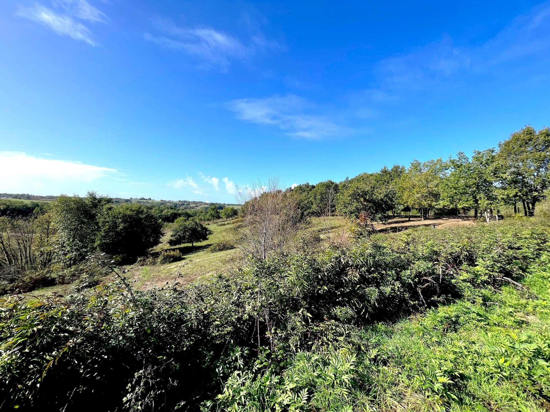 Photo 7 of the listing.