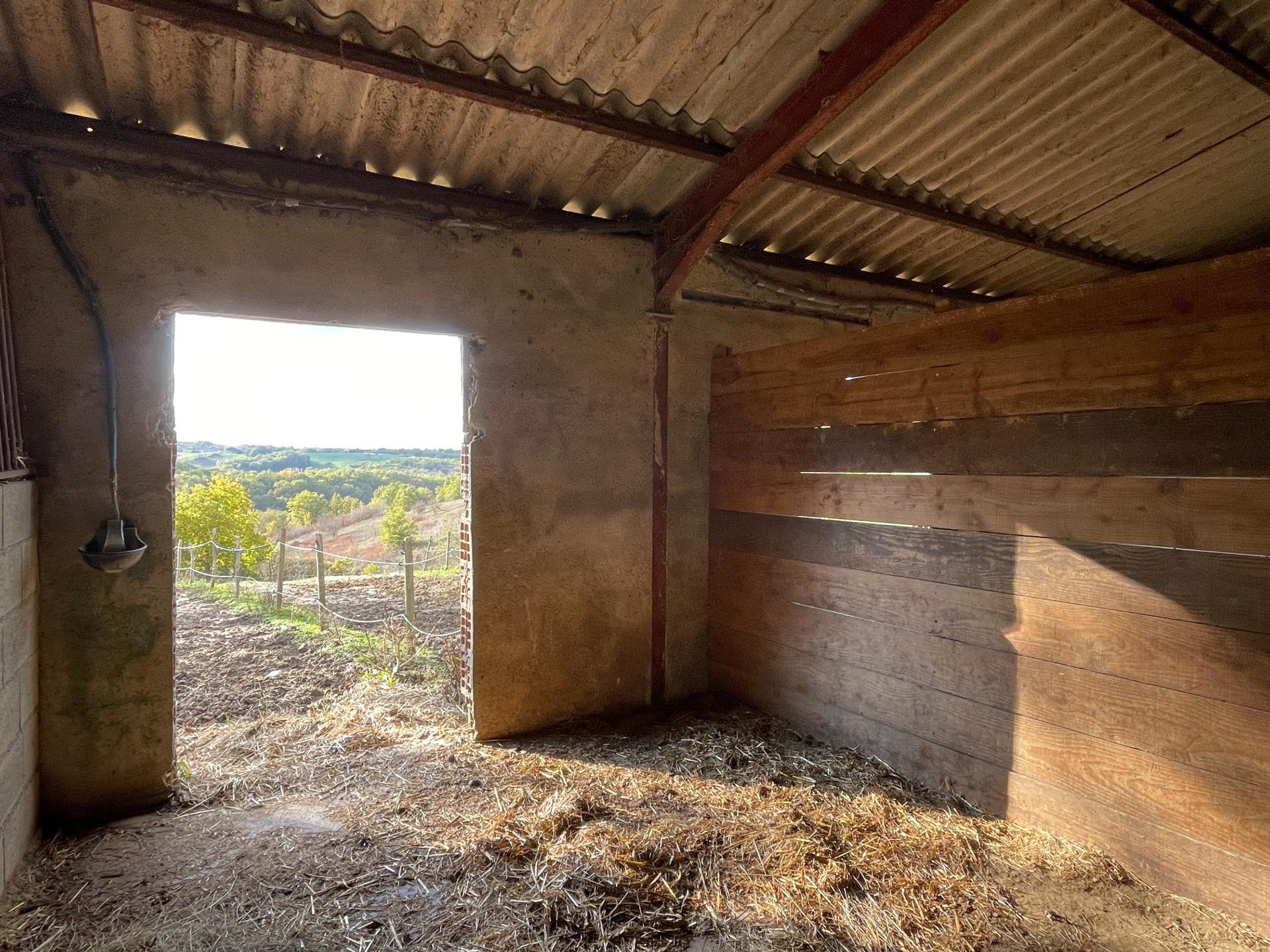 Photo 6 of the listing.