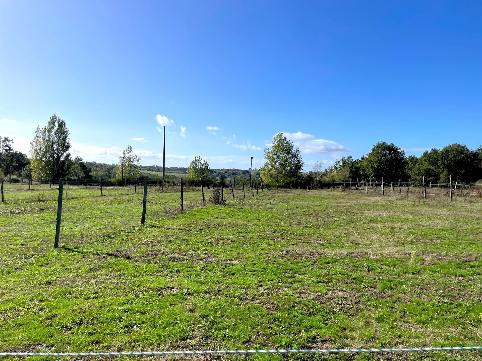 Photo 10 of the listing.