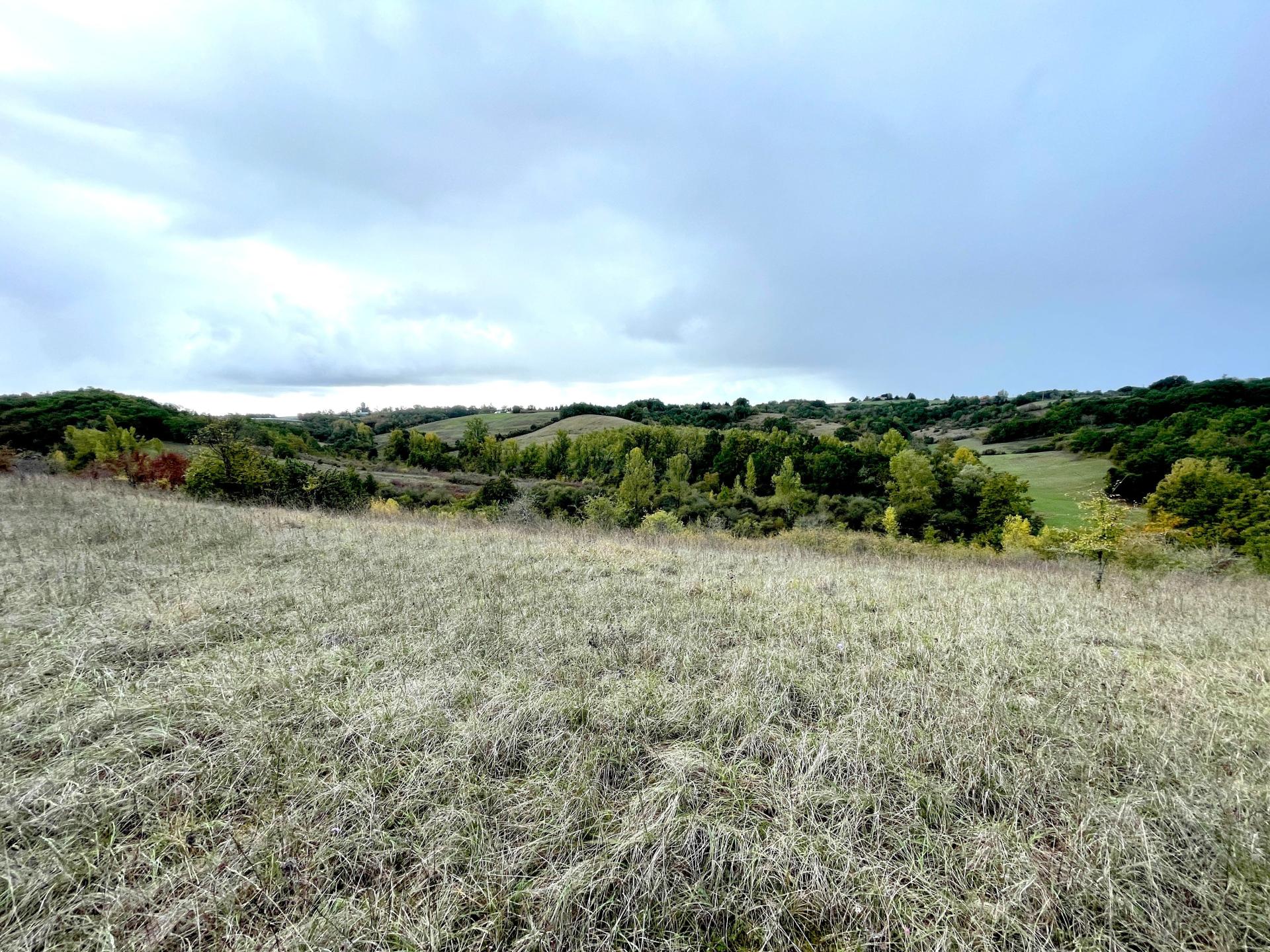 Photo 12 of the listing.