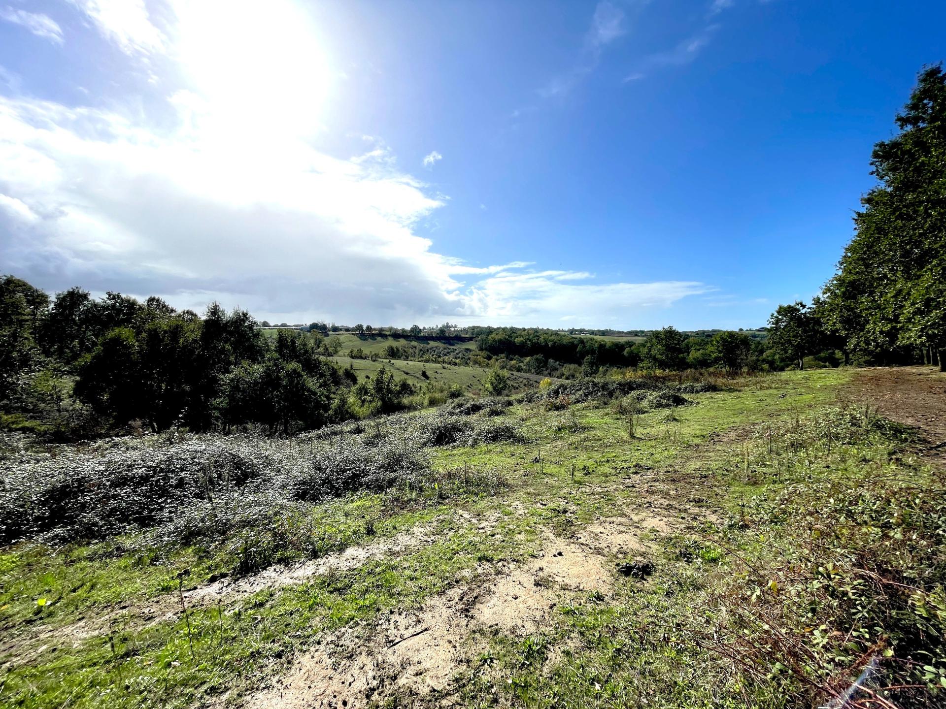 Photo 9 of the listing.