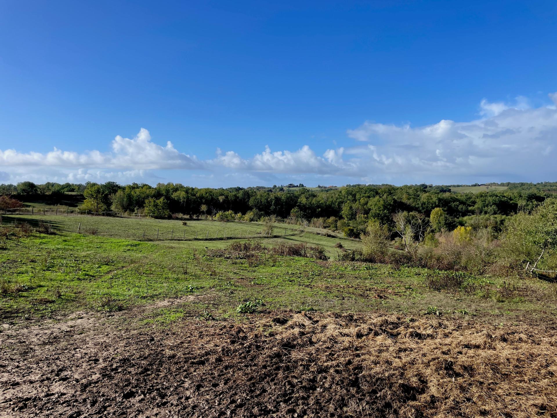 Photo 8 of the listing.