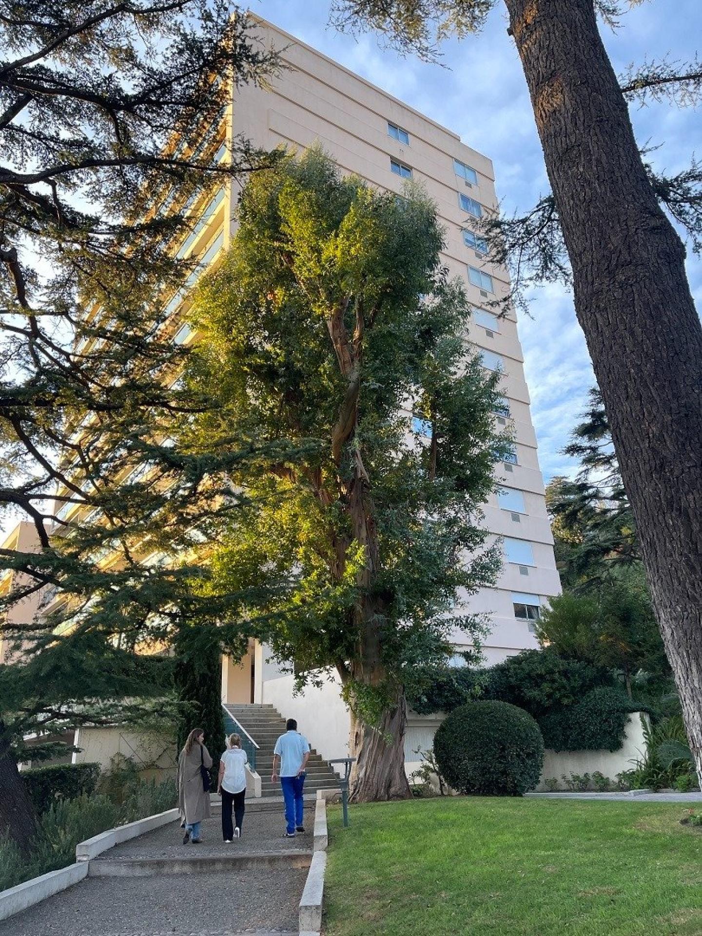 Photo 4 of the listing.