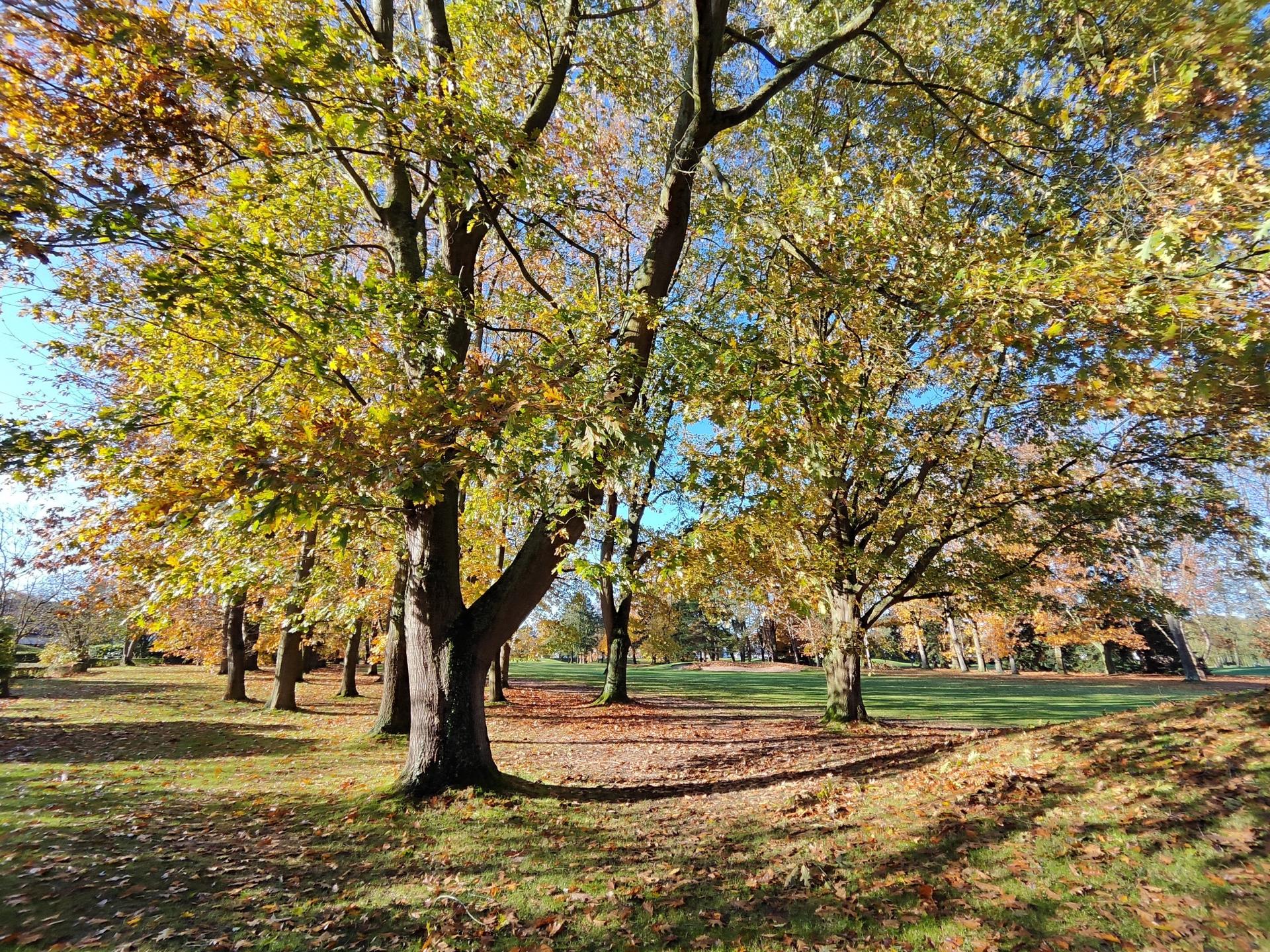 Photo 4 de l'annonce.