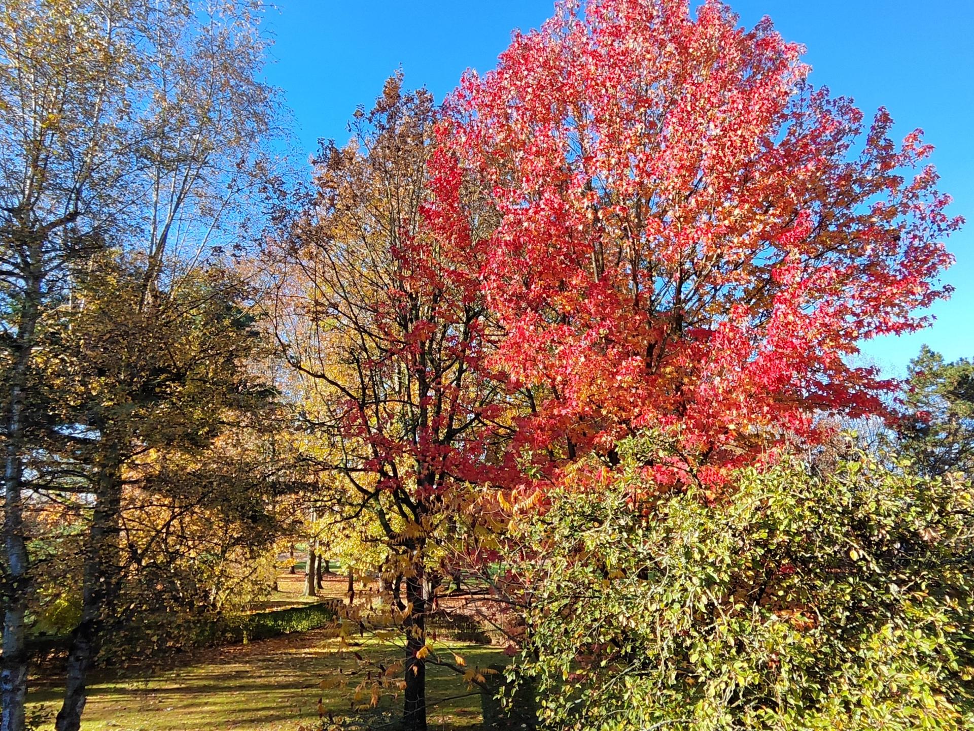 Photo 8 de l'annonce.