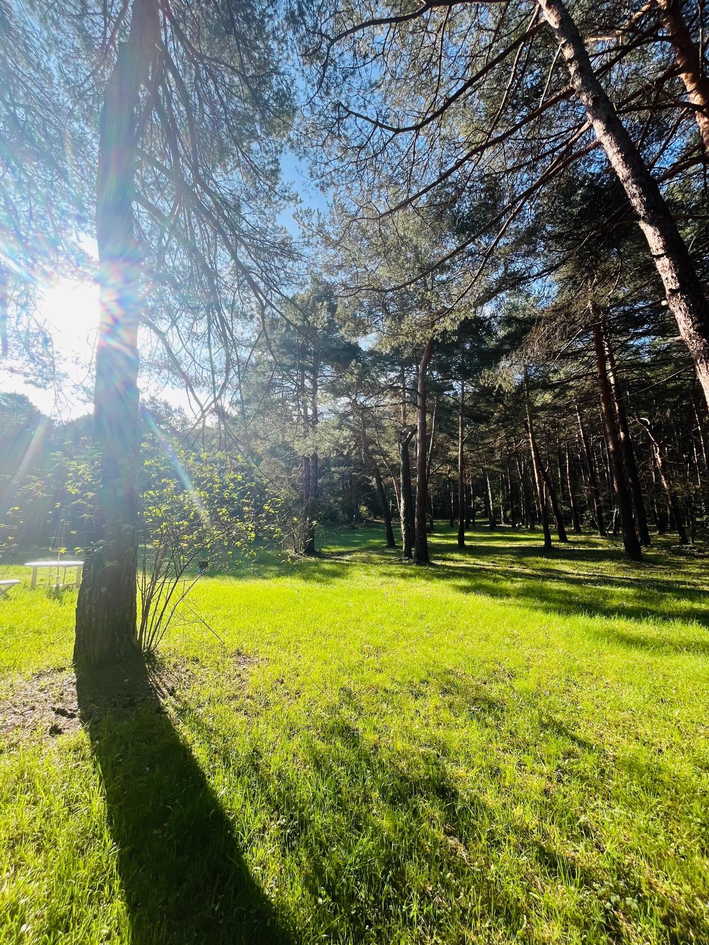 Photo 8 of the listing.