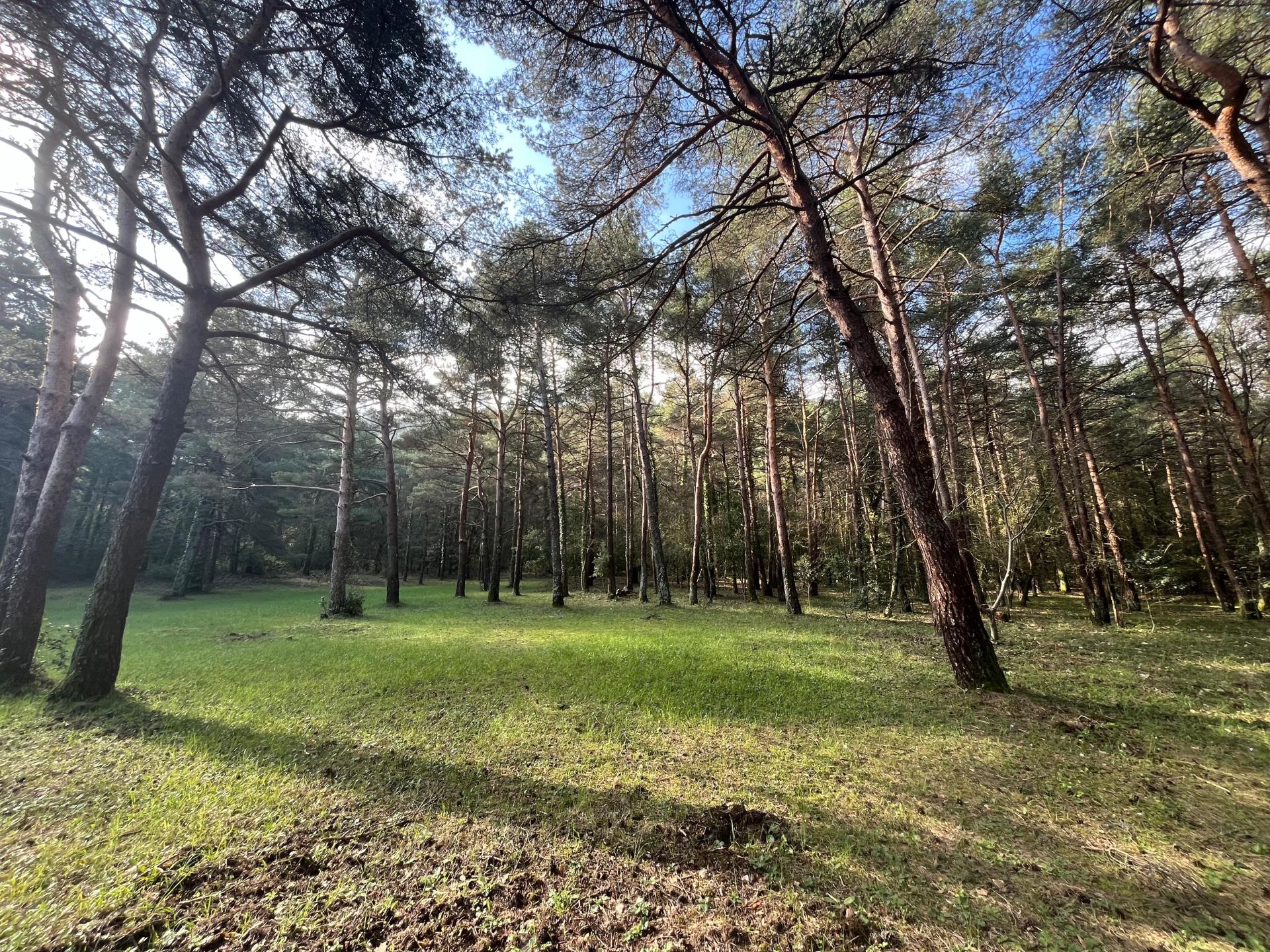 Photo 3 of the listing.