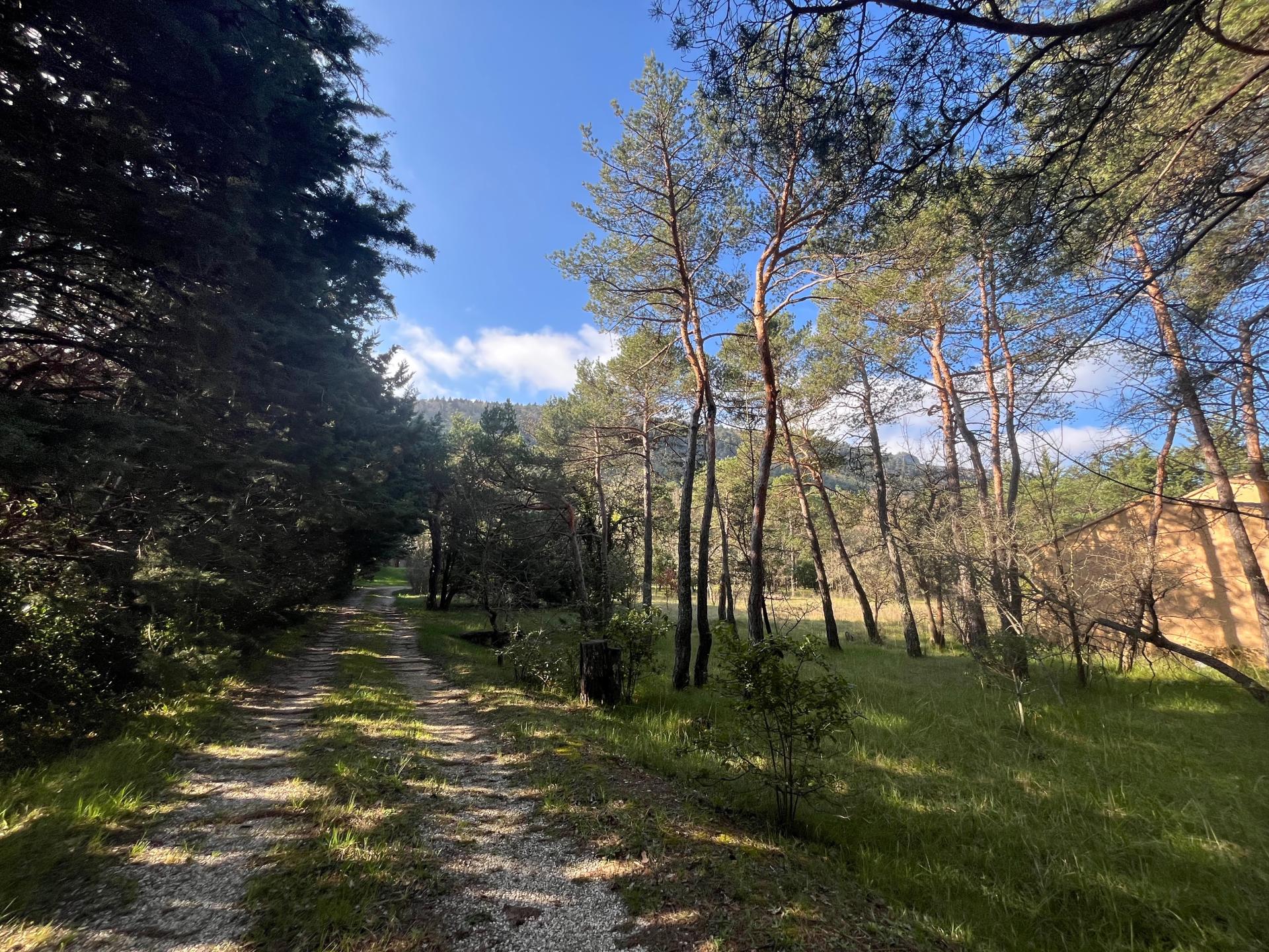 Photo 10 of the listing.