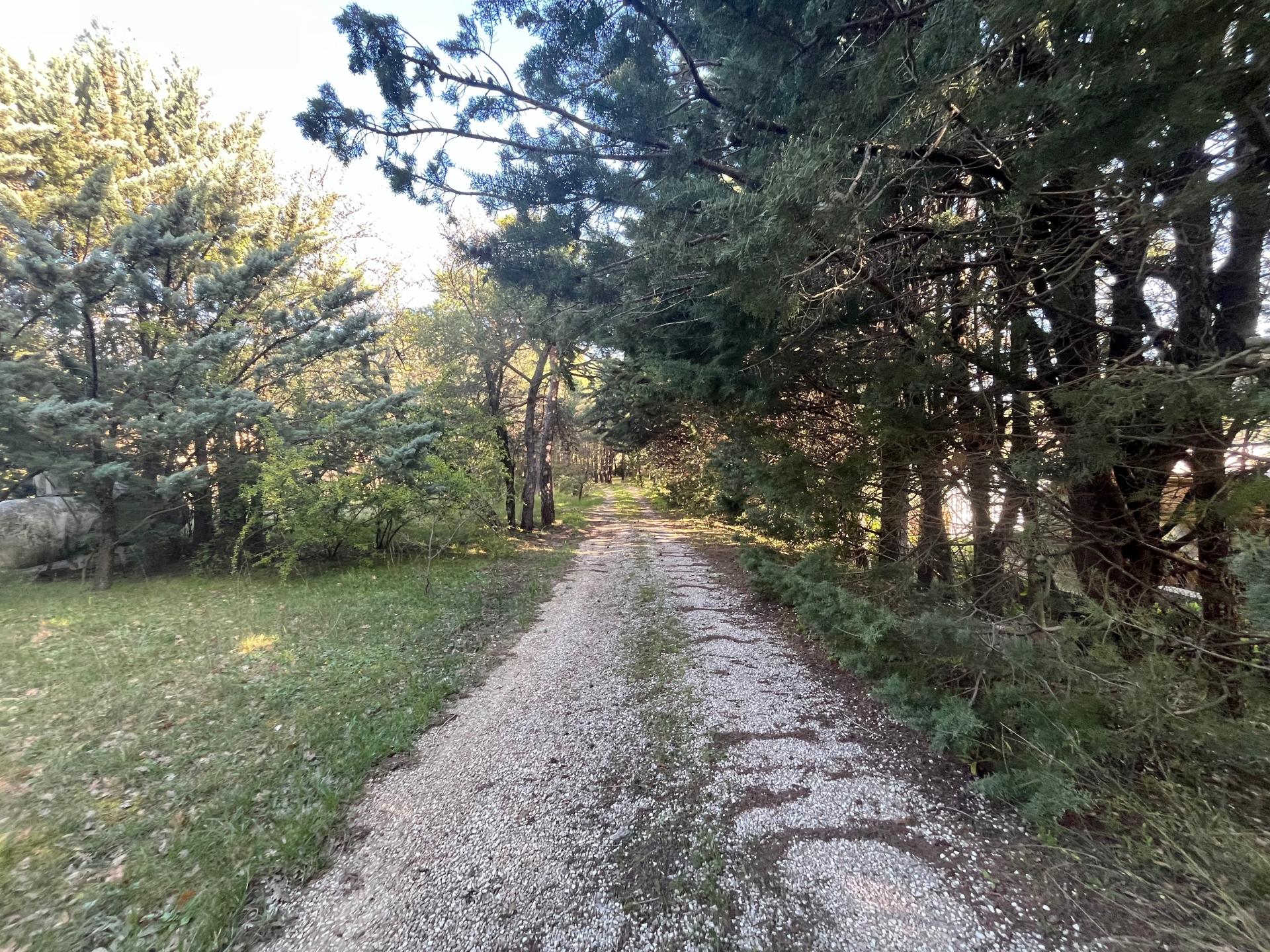 Photo 11 of the listing.