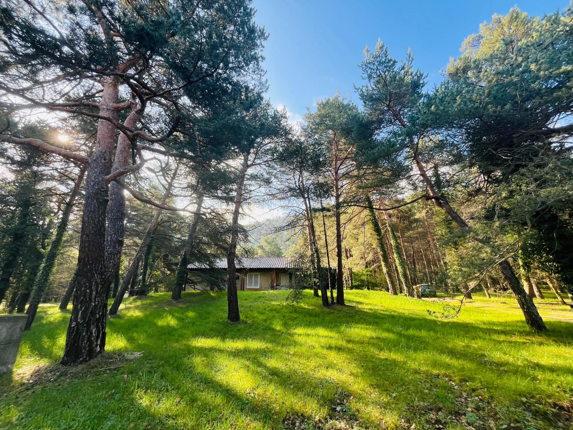 Photo 2 of the listing.