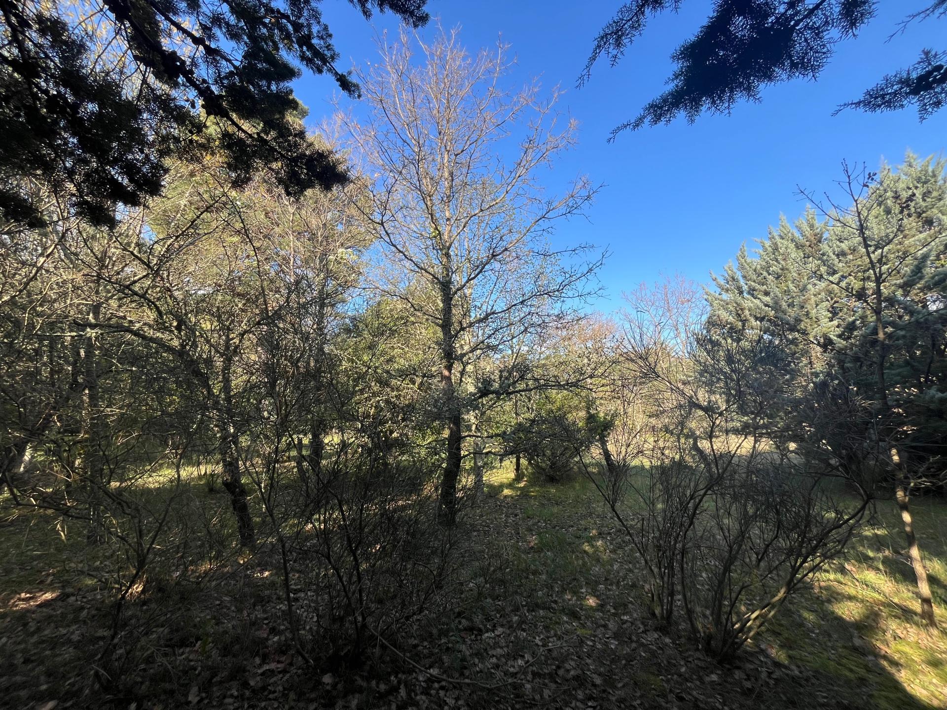 Photo 6 of the listing.