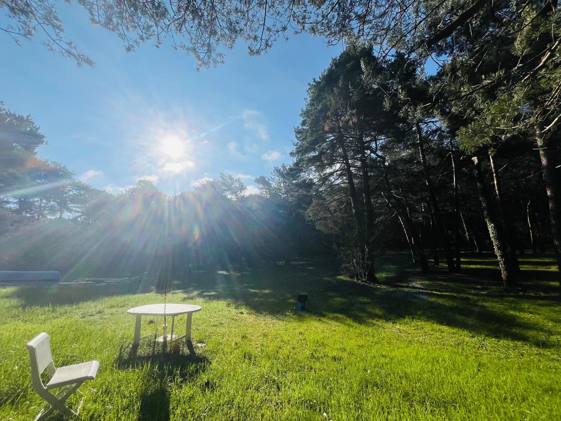 Photo 5 of the listing.