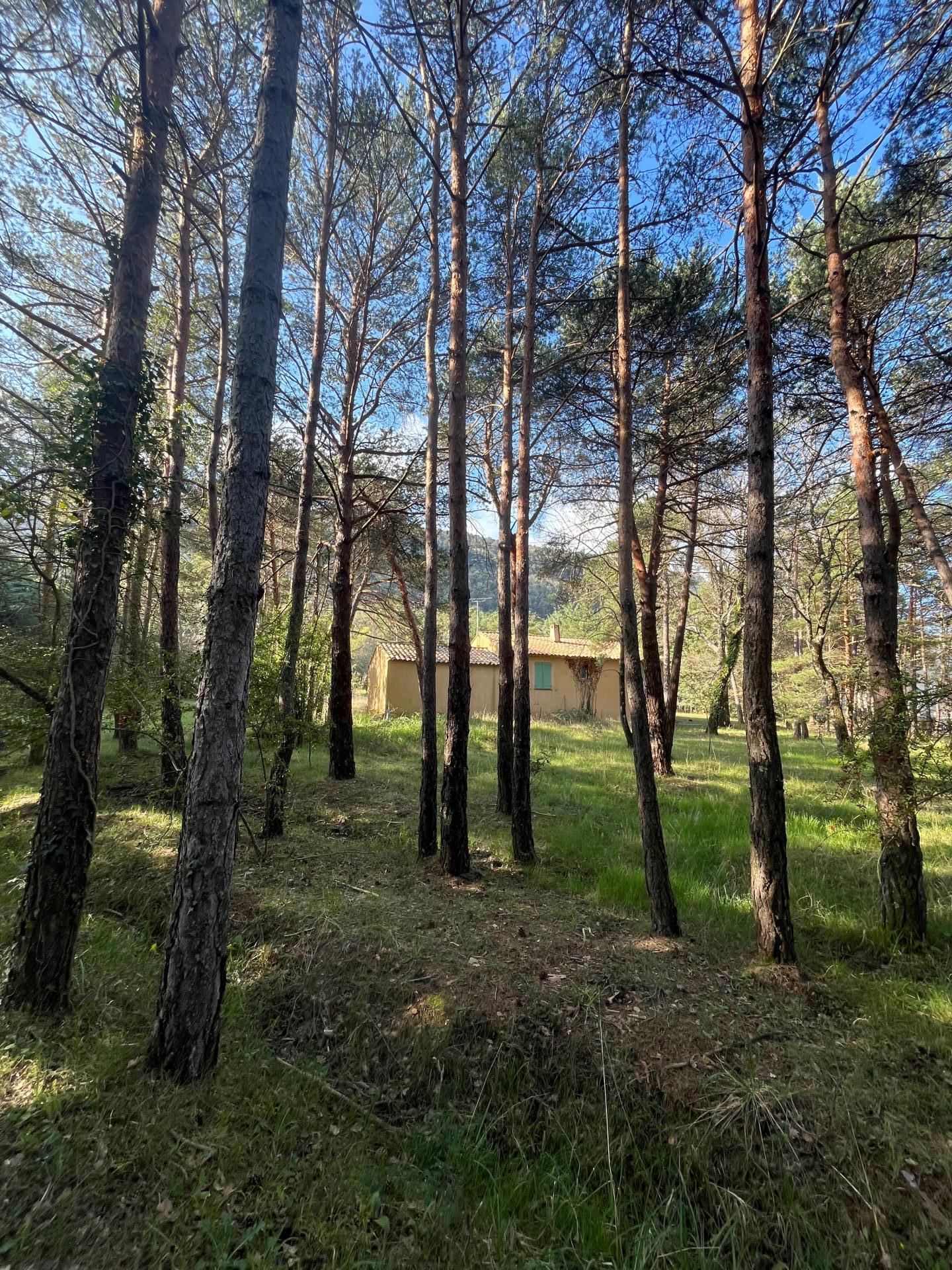 Photo 4 of the listing.