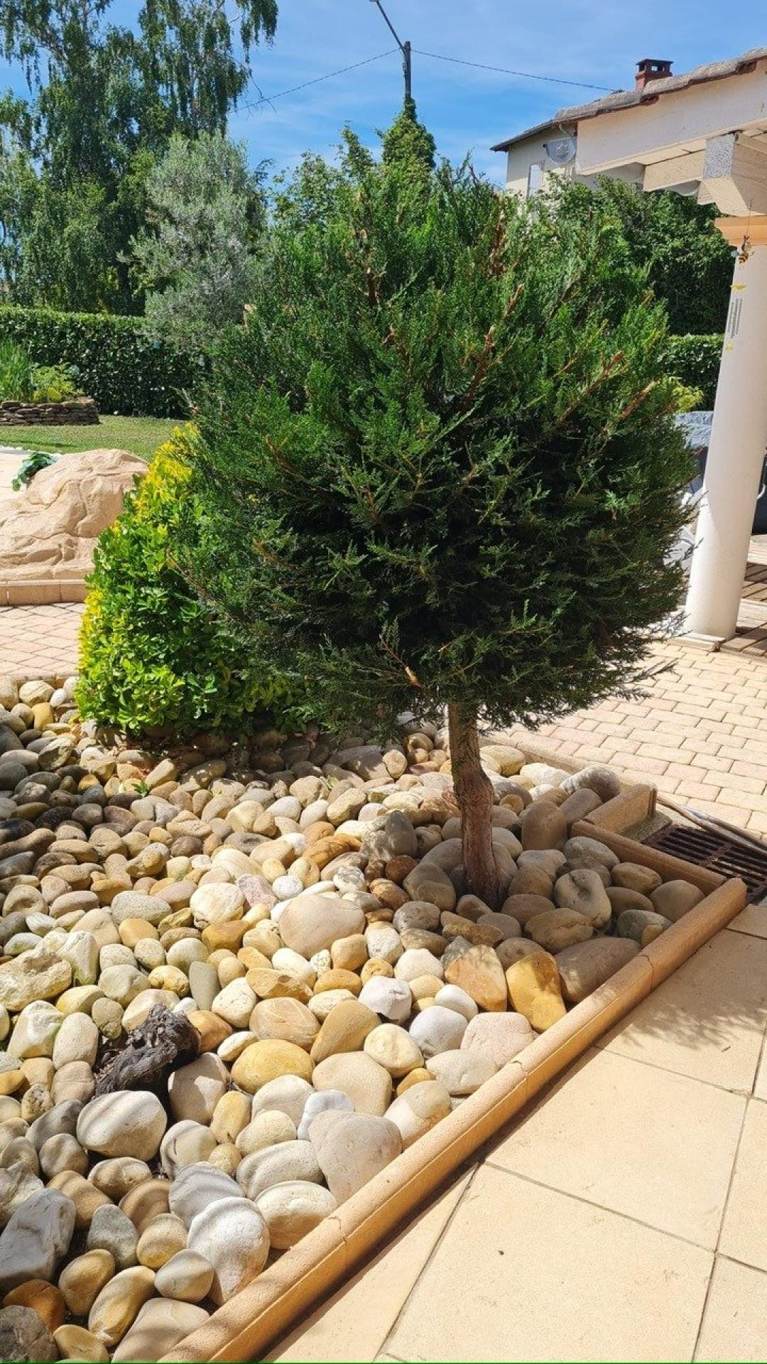 Photo 13 de l'annonce.