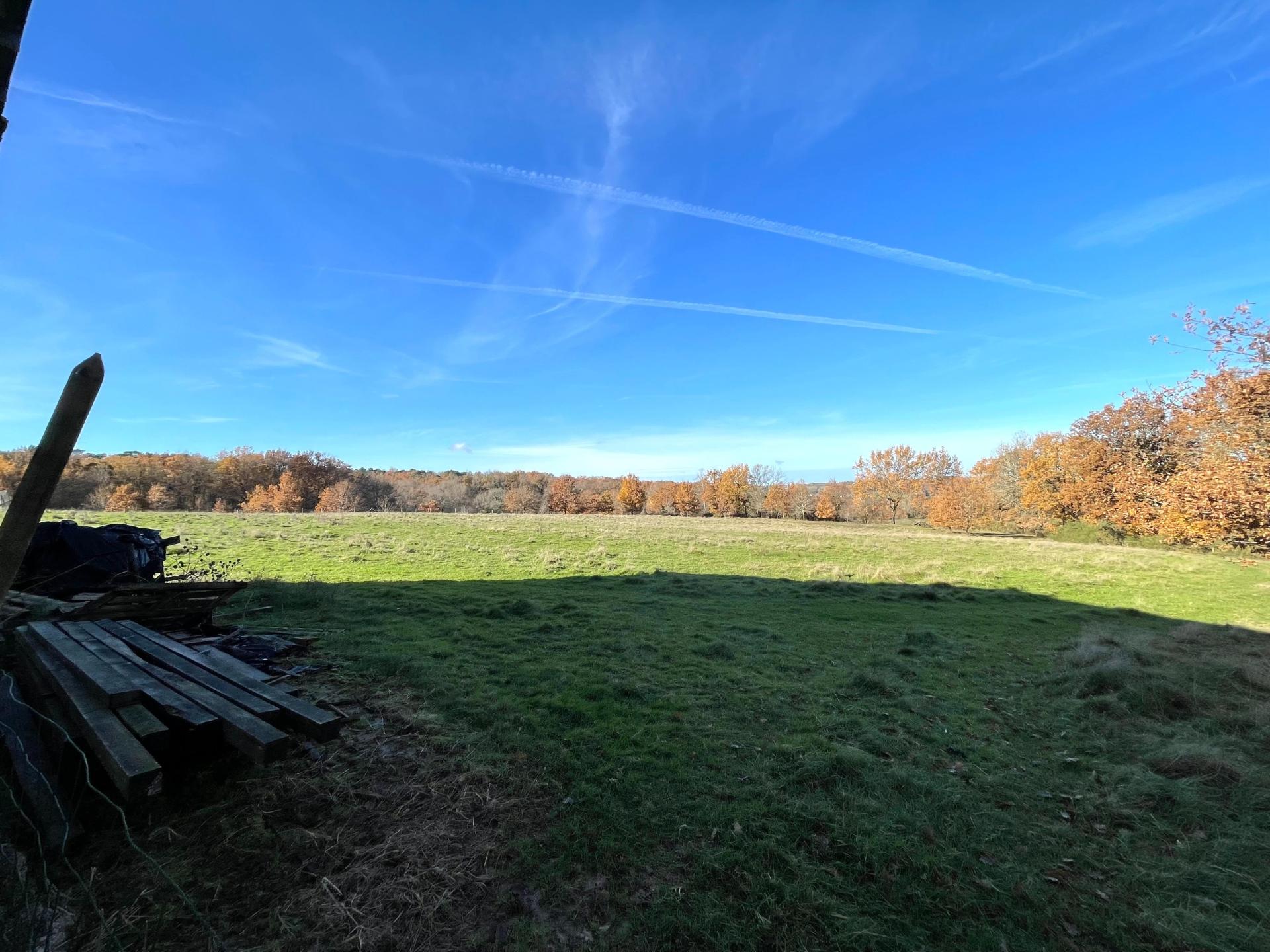 Photo 18 of the listing.