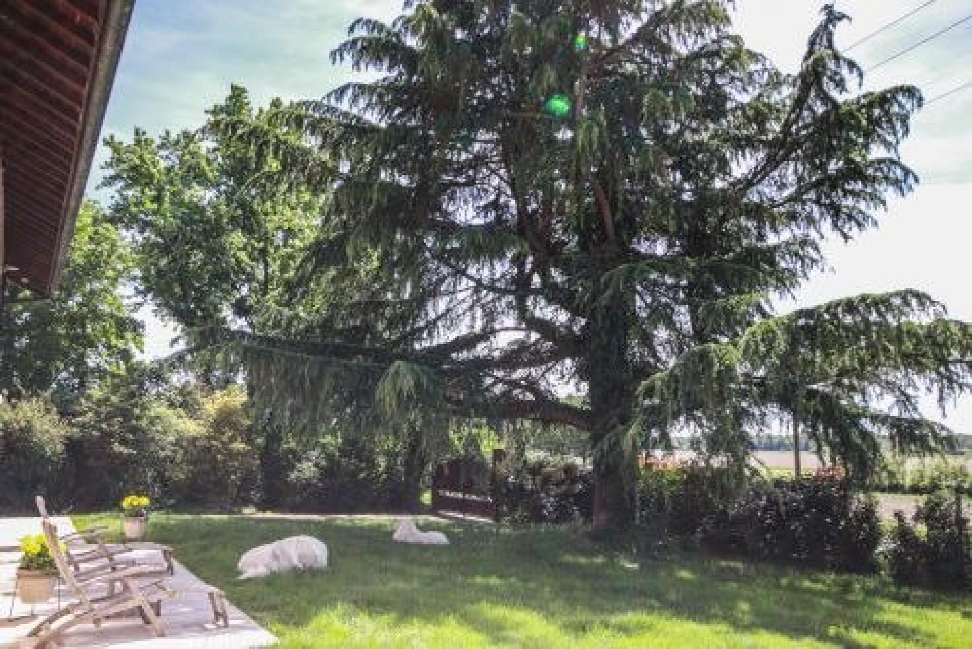 Photo 6 of the listing.