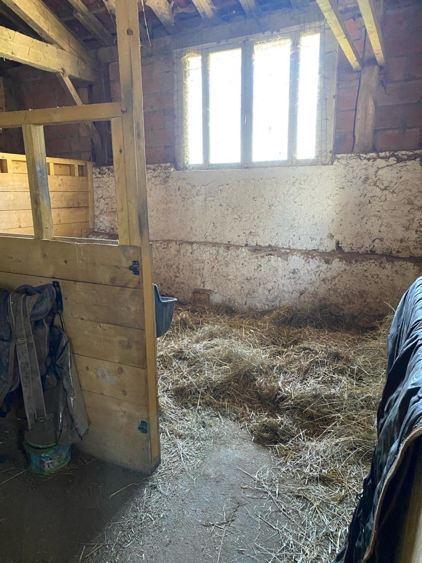 Photo 19 of the listing.