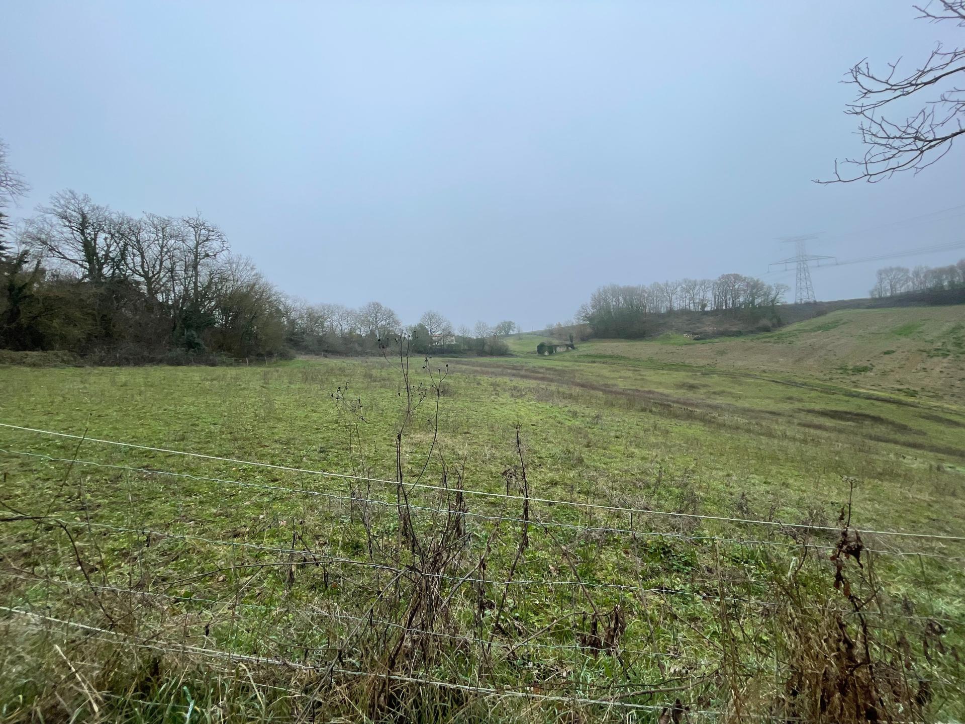 Photo 25 of the listing.