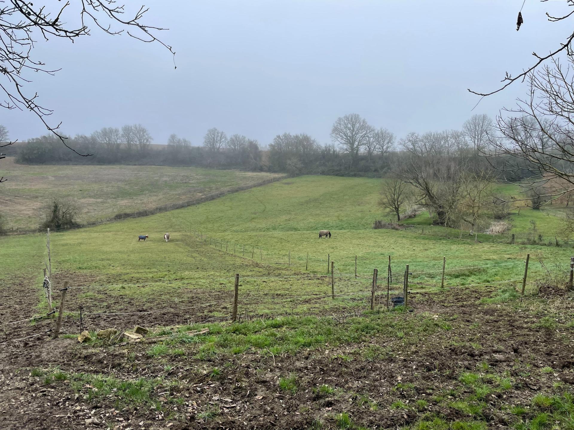 Photo 24 of the listing.