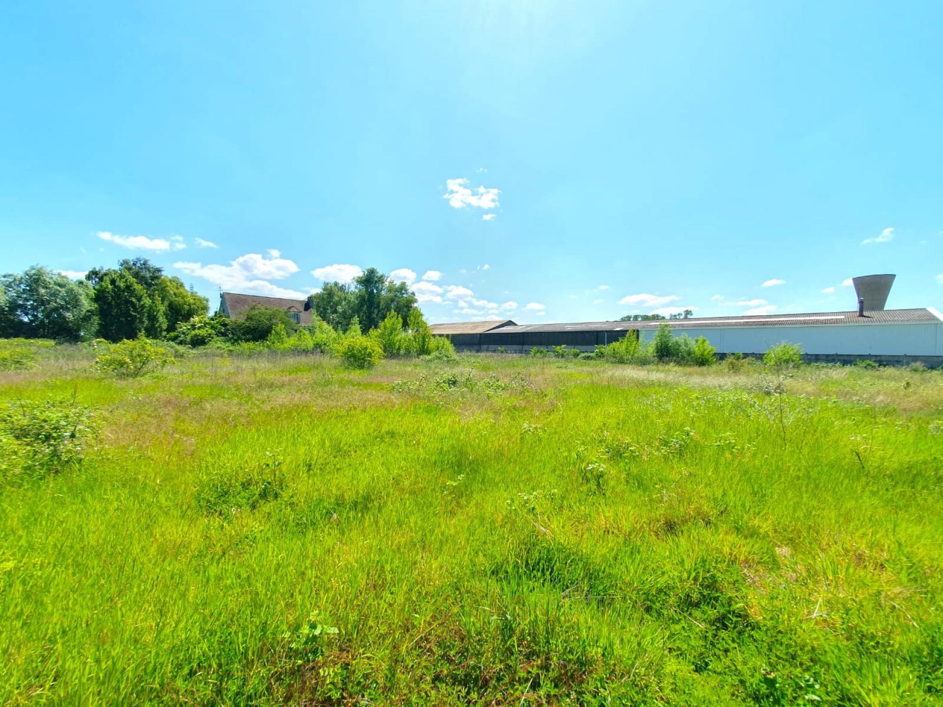 Photo 2 de l'annonce.