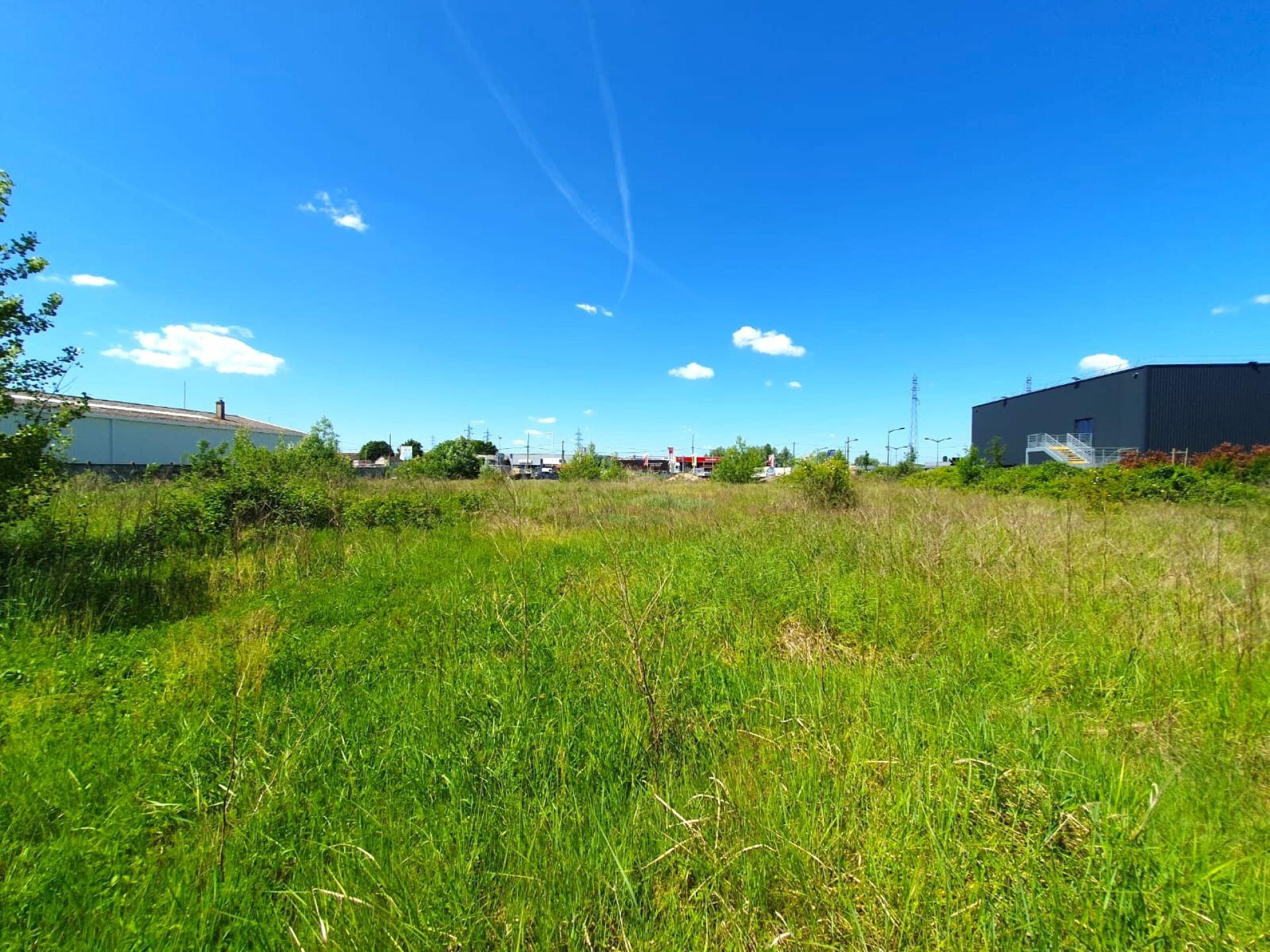 Photo 4 de l'annonce.