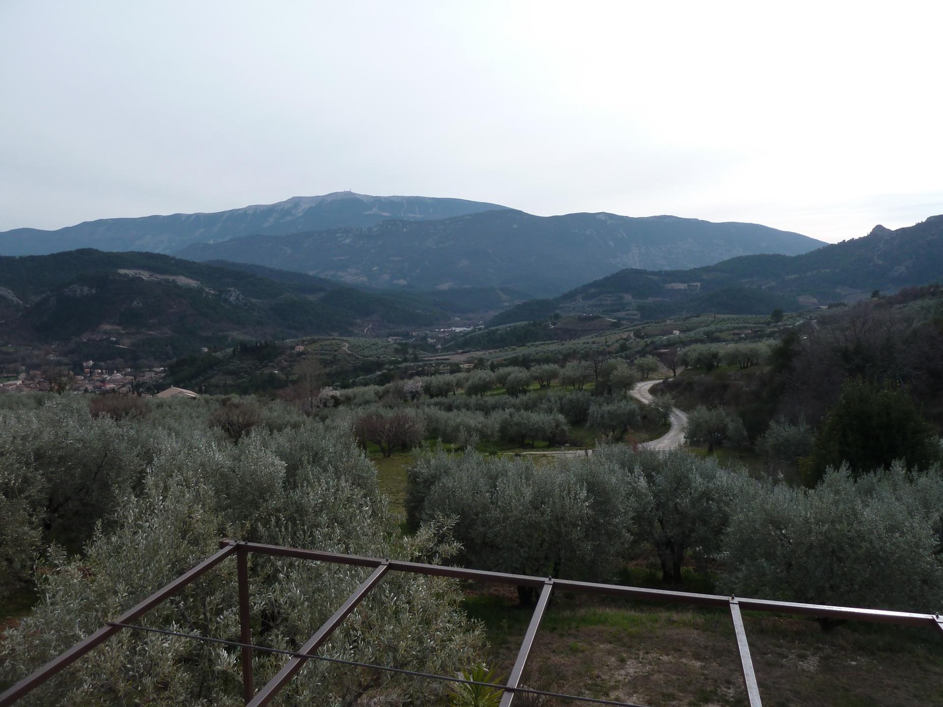 Photo 14 of the listing.