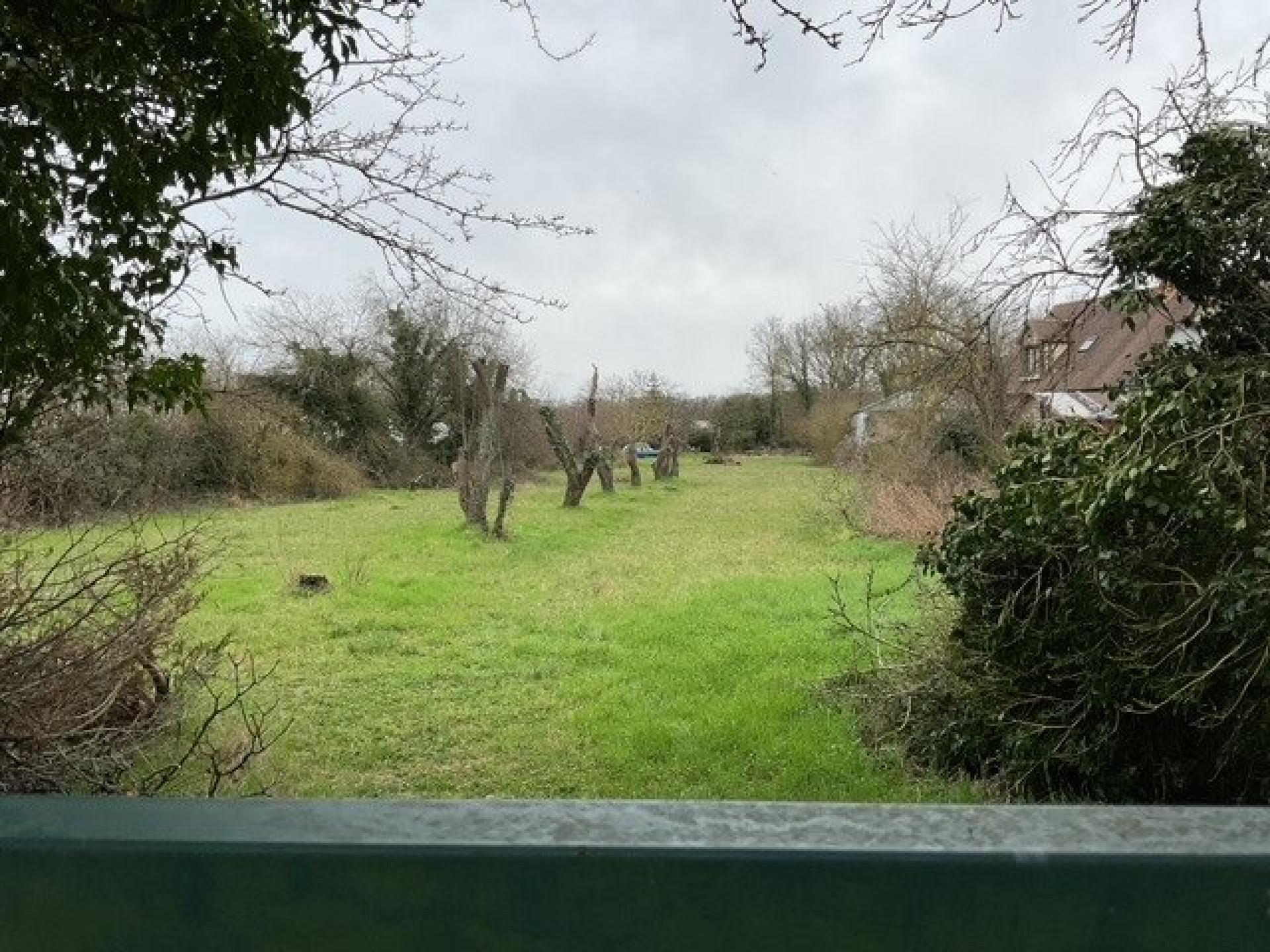 Photo 2 de l'annonce.