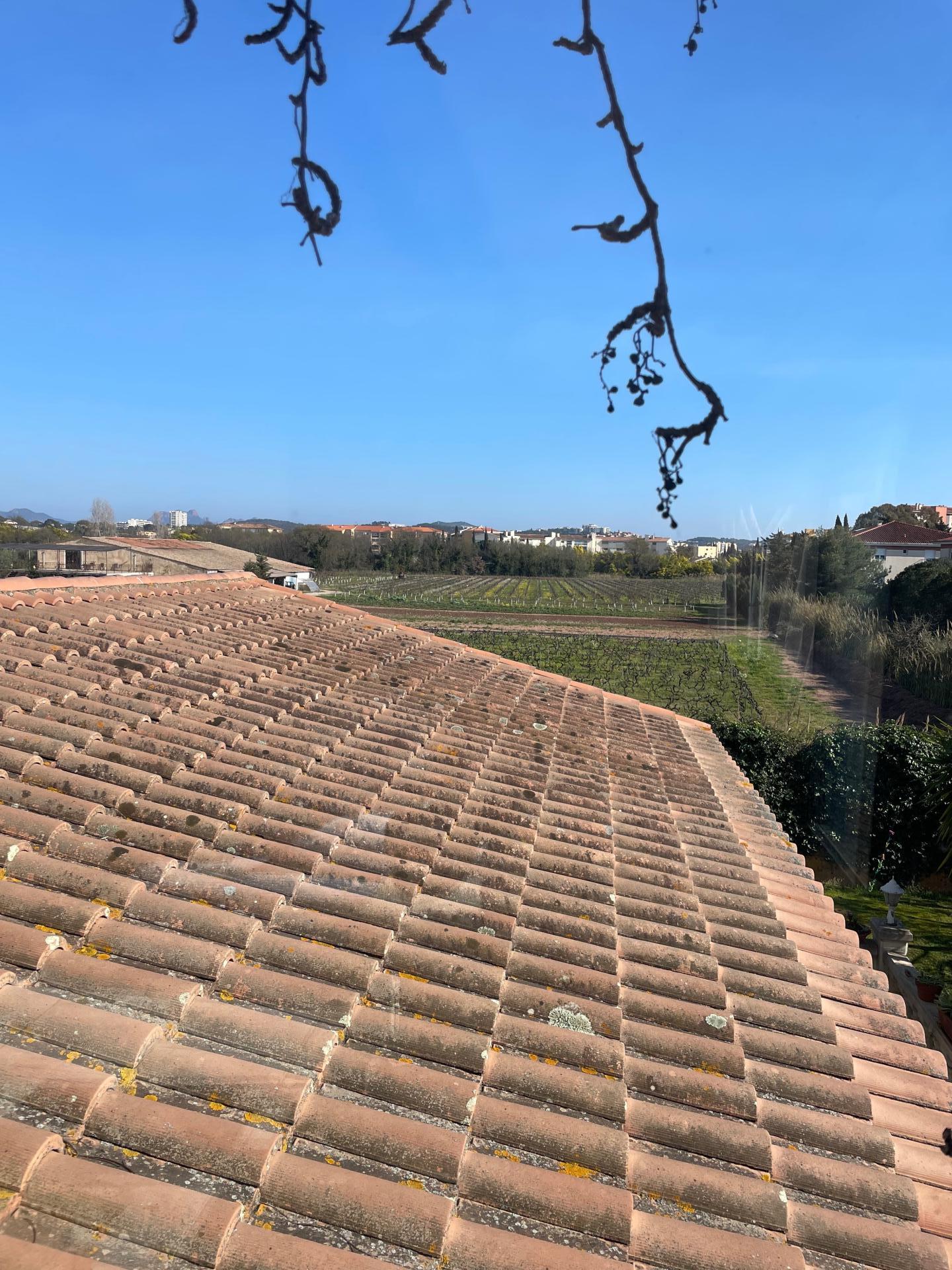 Photo 11 de l'annonce.