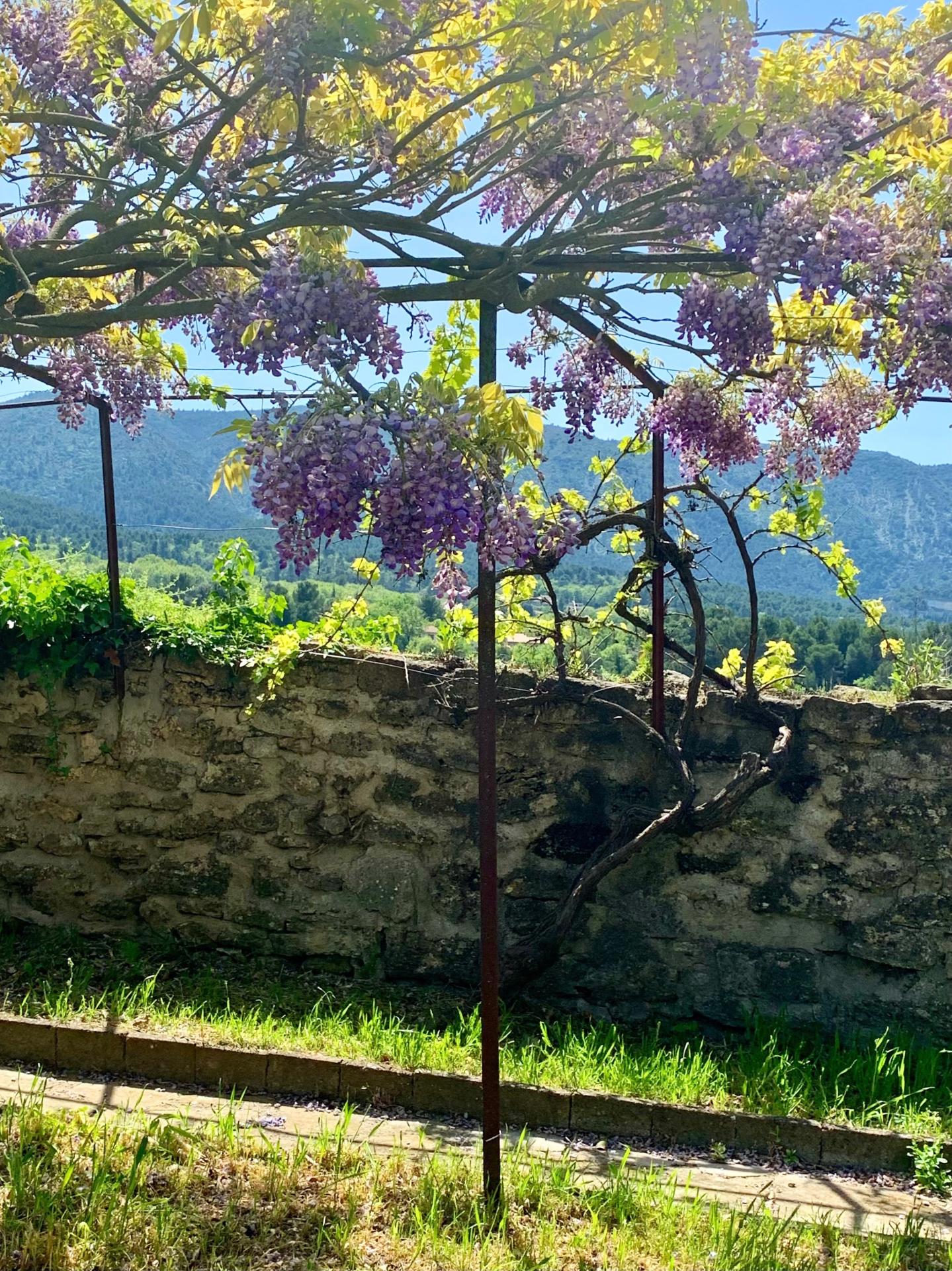 Photo 10 of the listing.