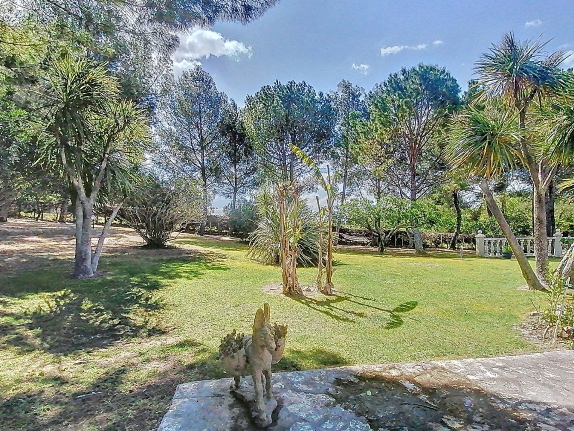 Photo 4 of the listing.