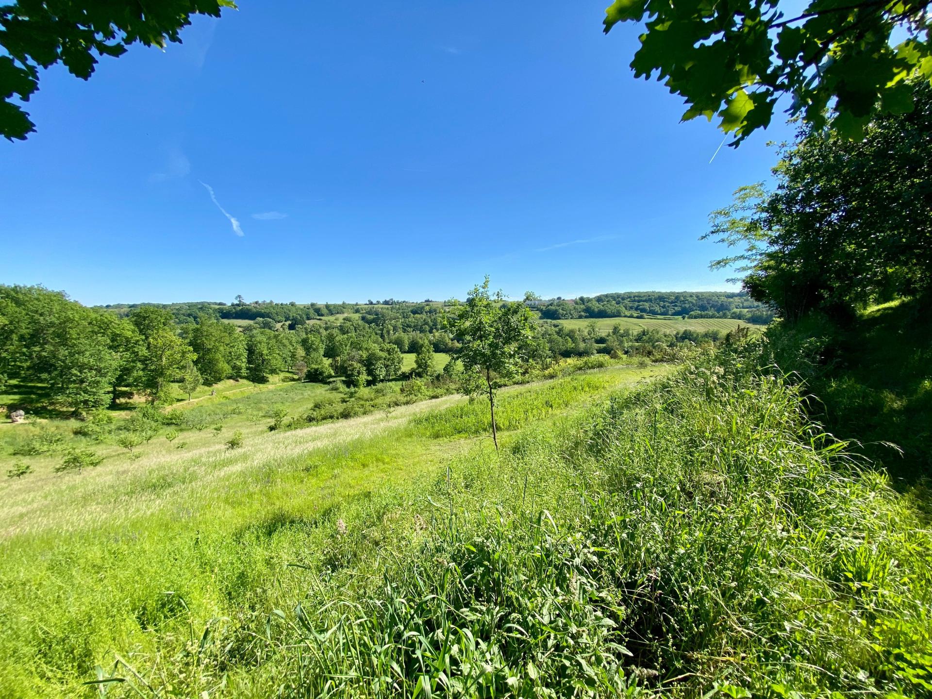 Photo 12 of the listing.