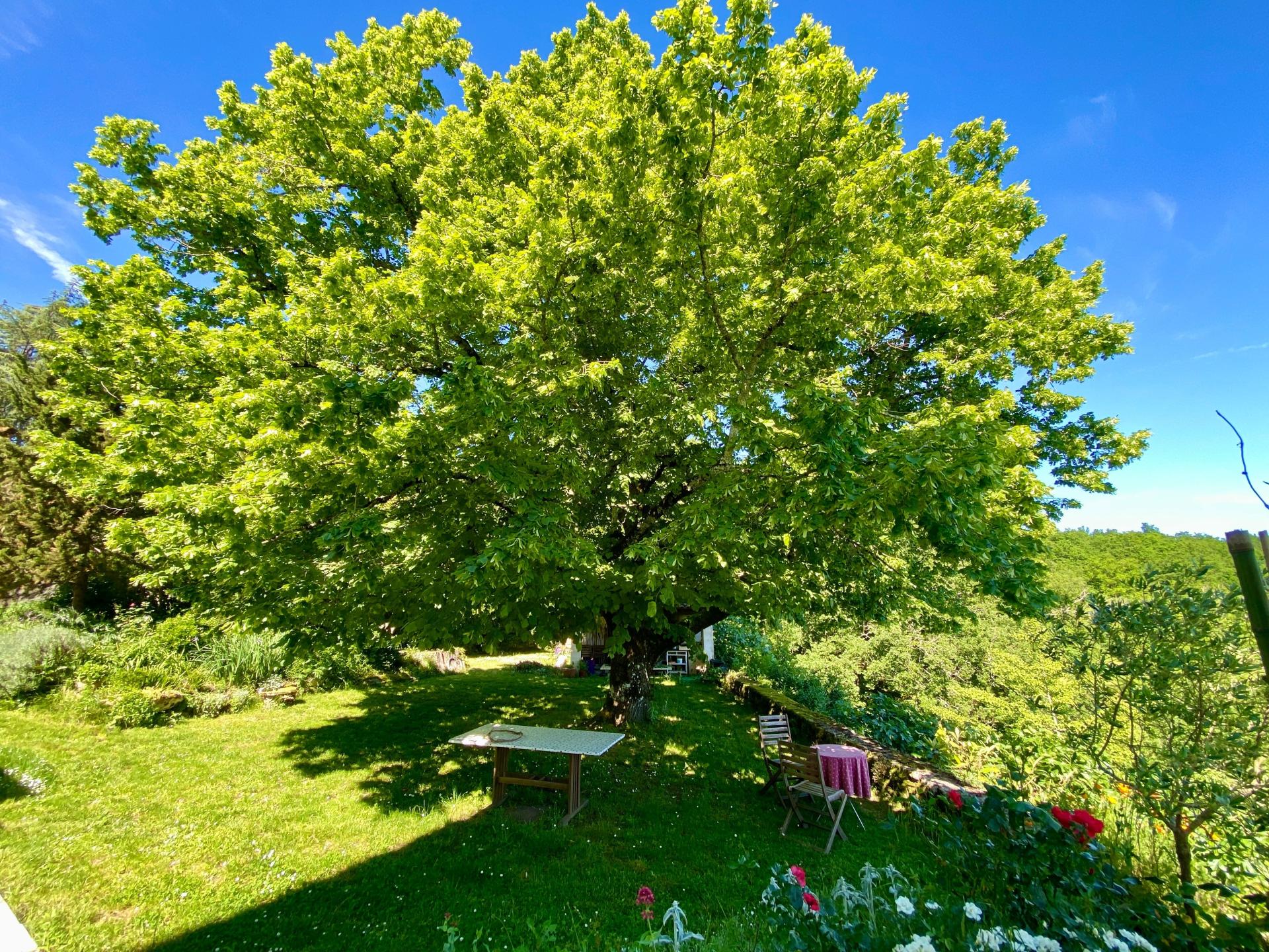 Photo 8 of the listing.