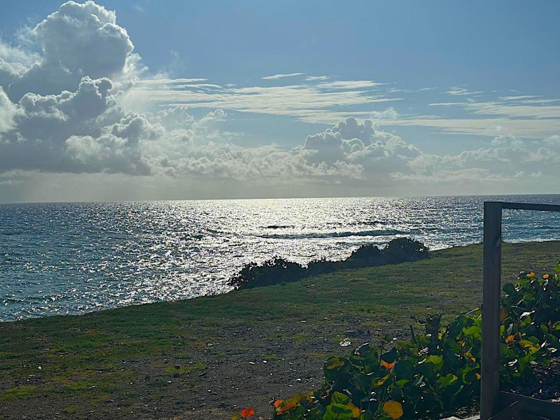 Photo 2 de l'annonce.