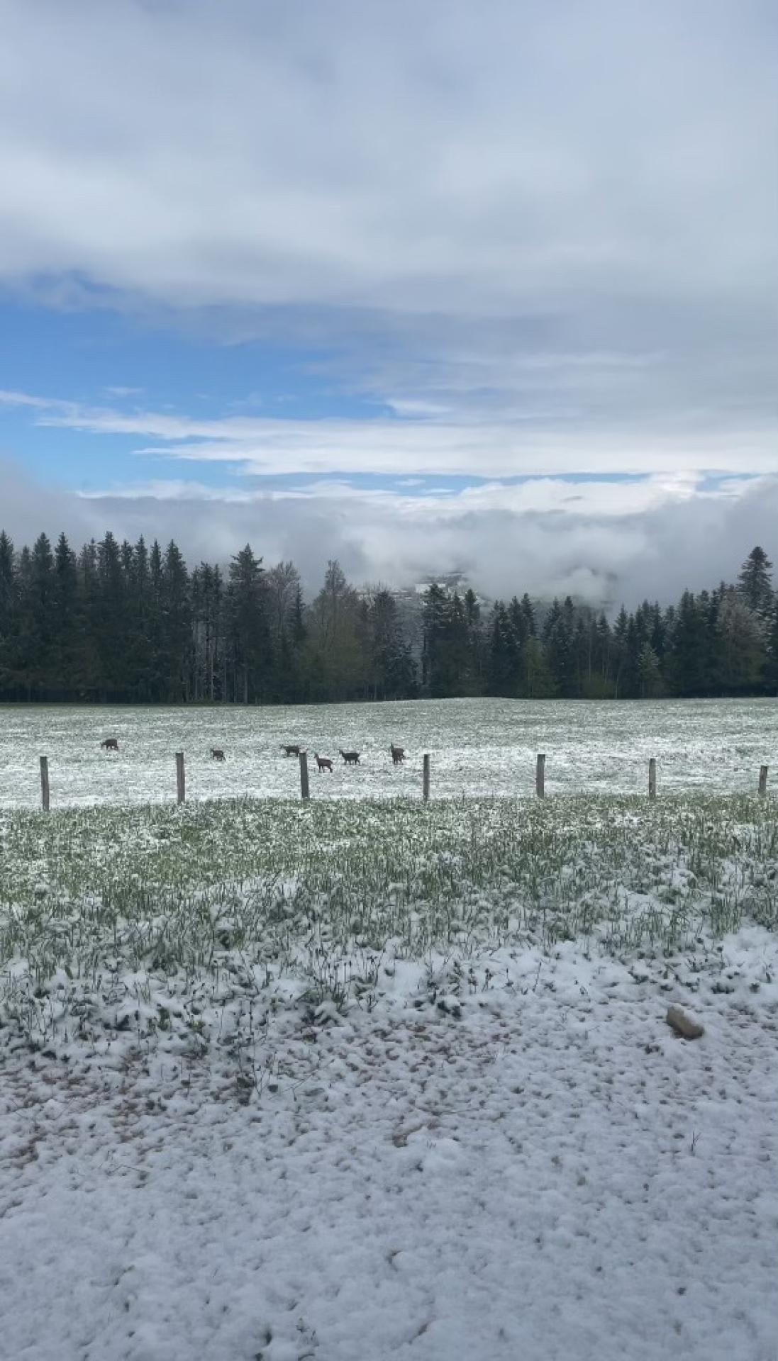 Photo 11 de l'annonce.