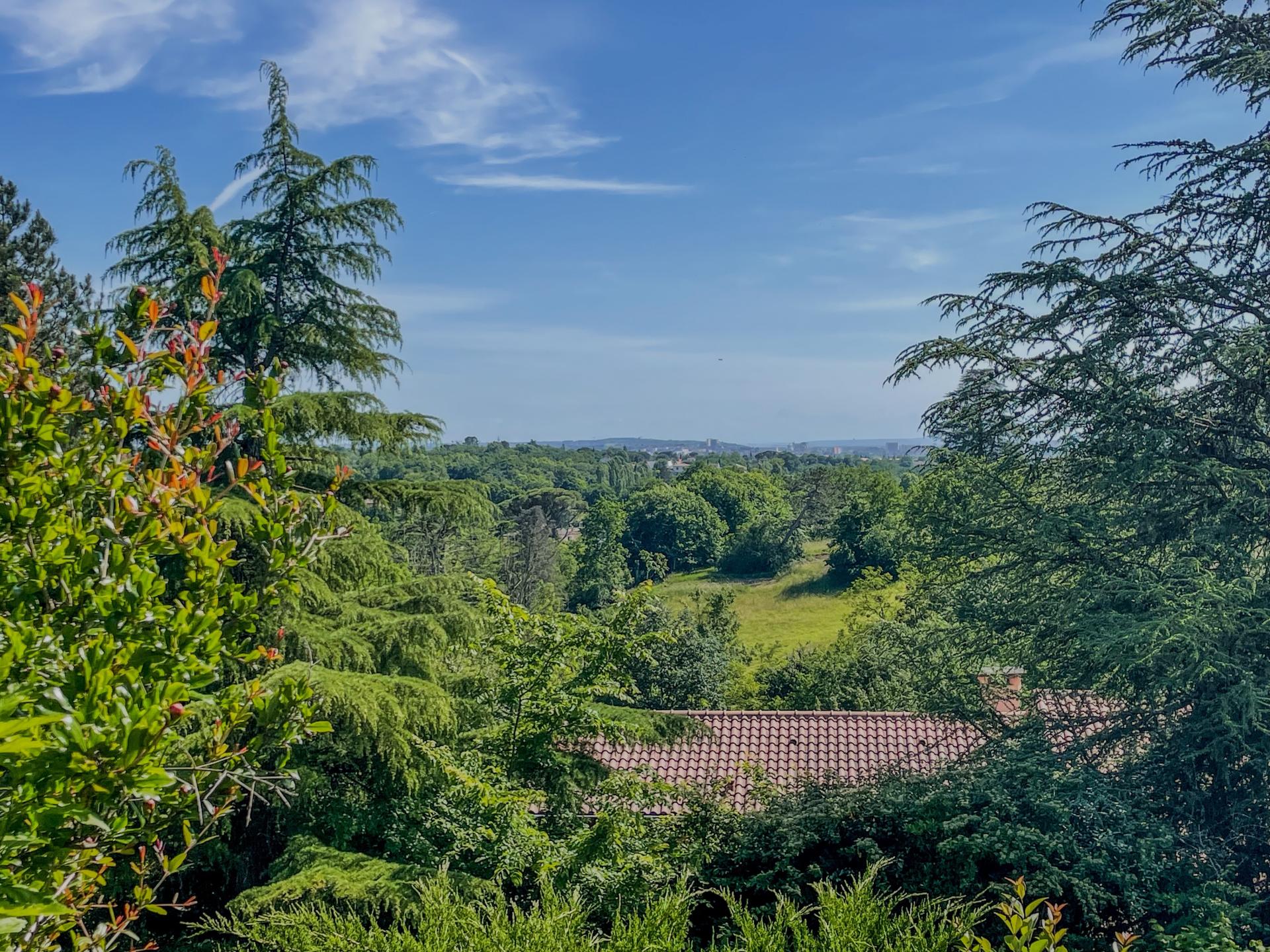 Photo 8 de l'annonce.