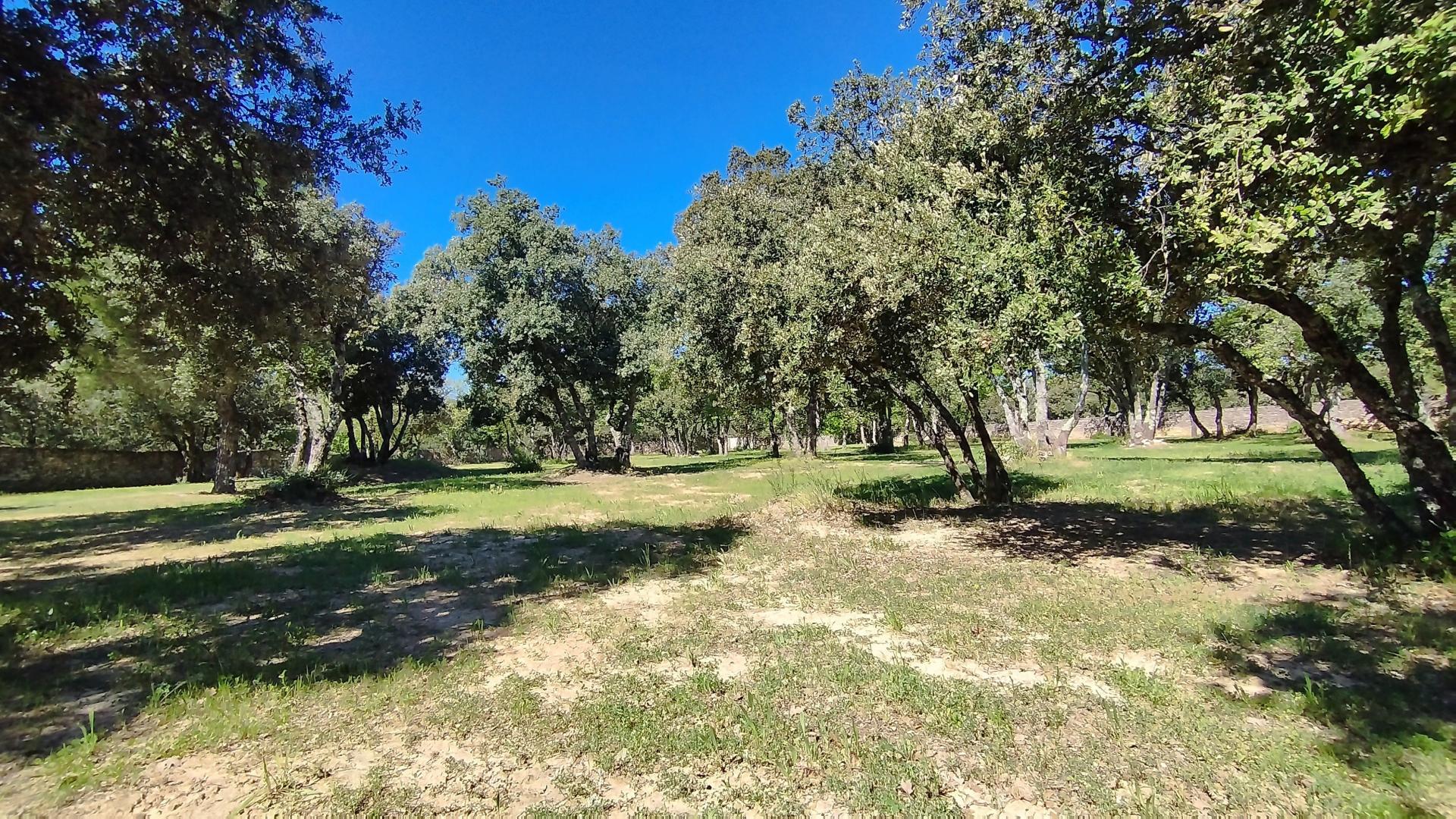 Photo 17 of the listing.