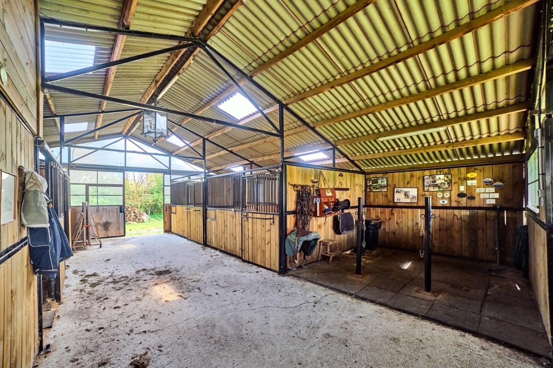 Photo 11 de l'annonce.