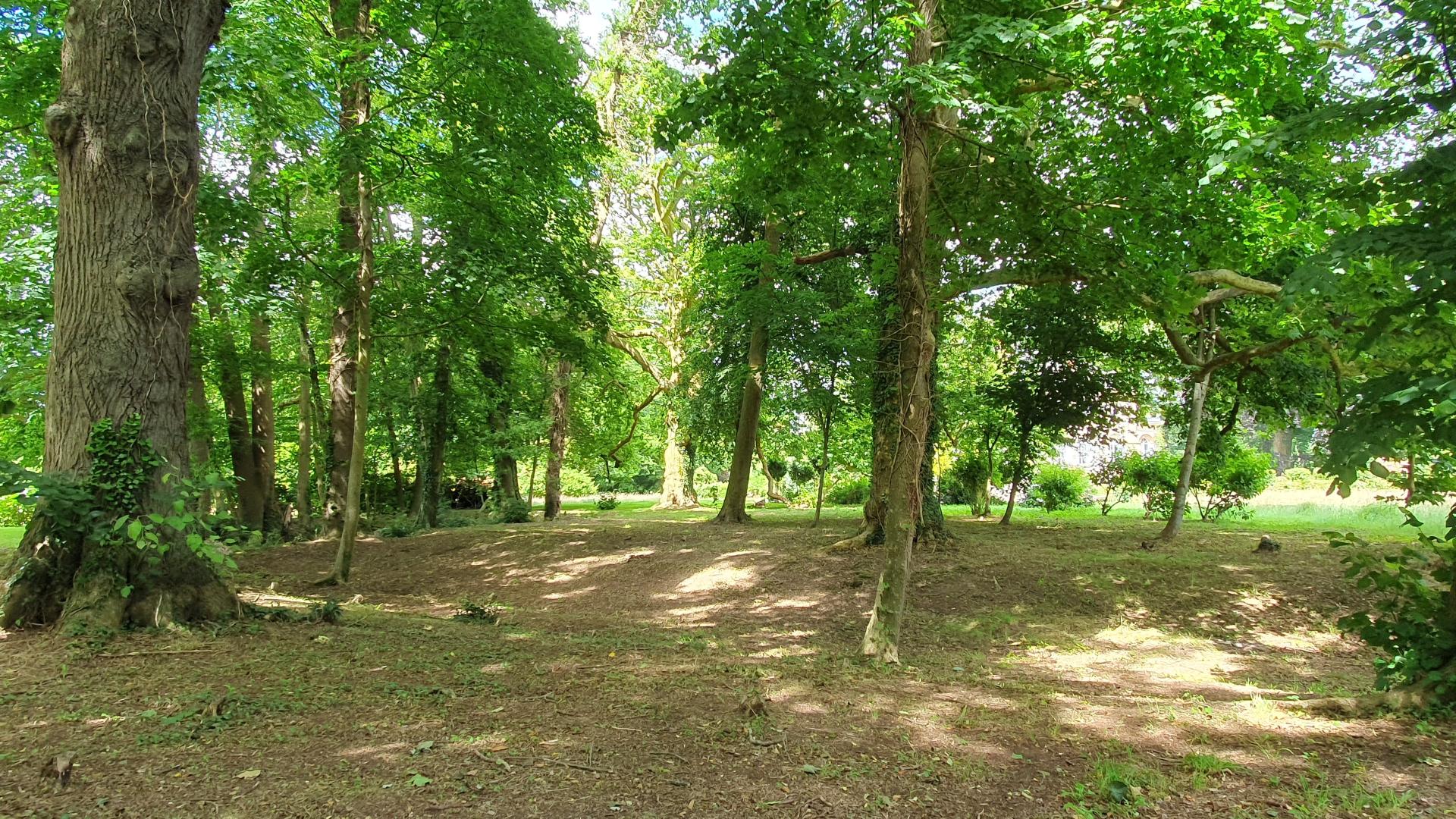 Photo 14 de l'annonce.