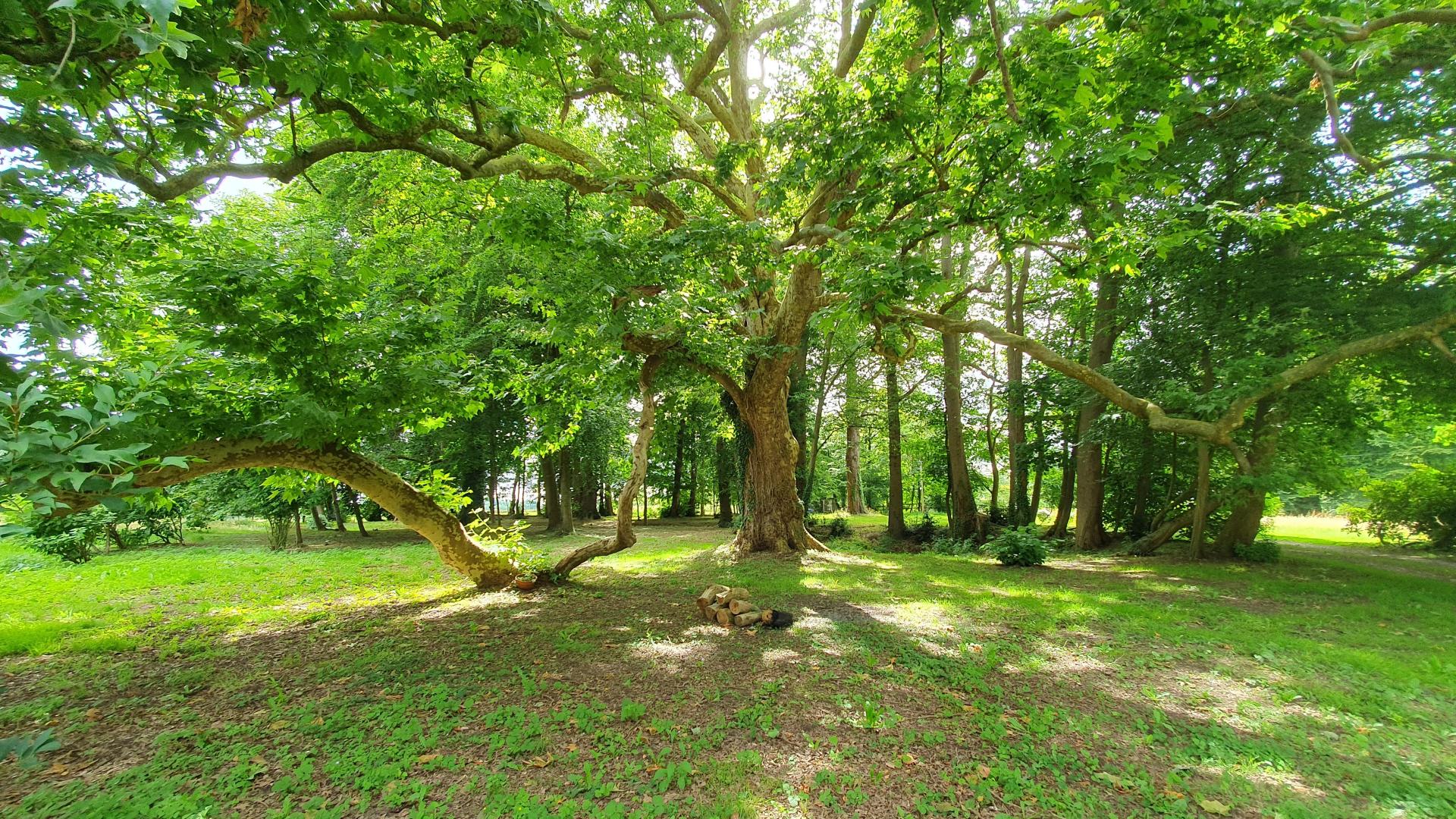 Photo 13 de l'annonce.