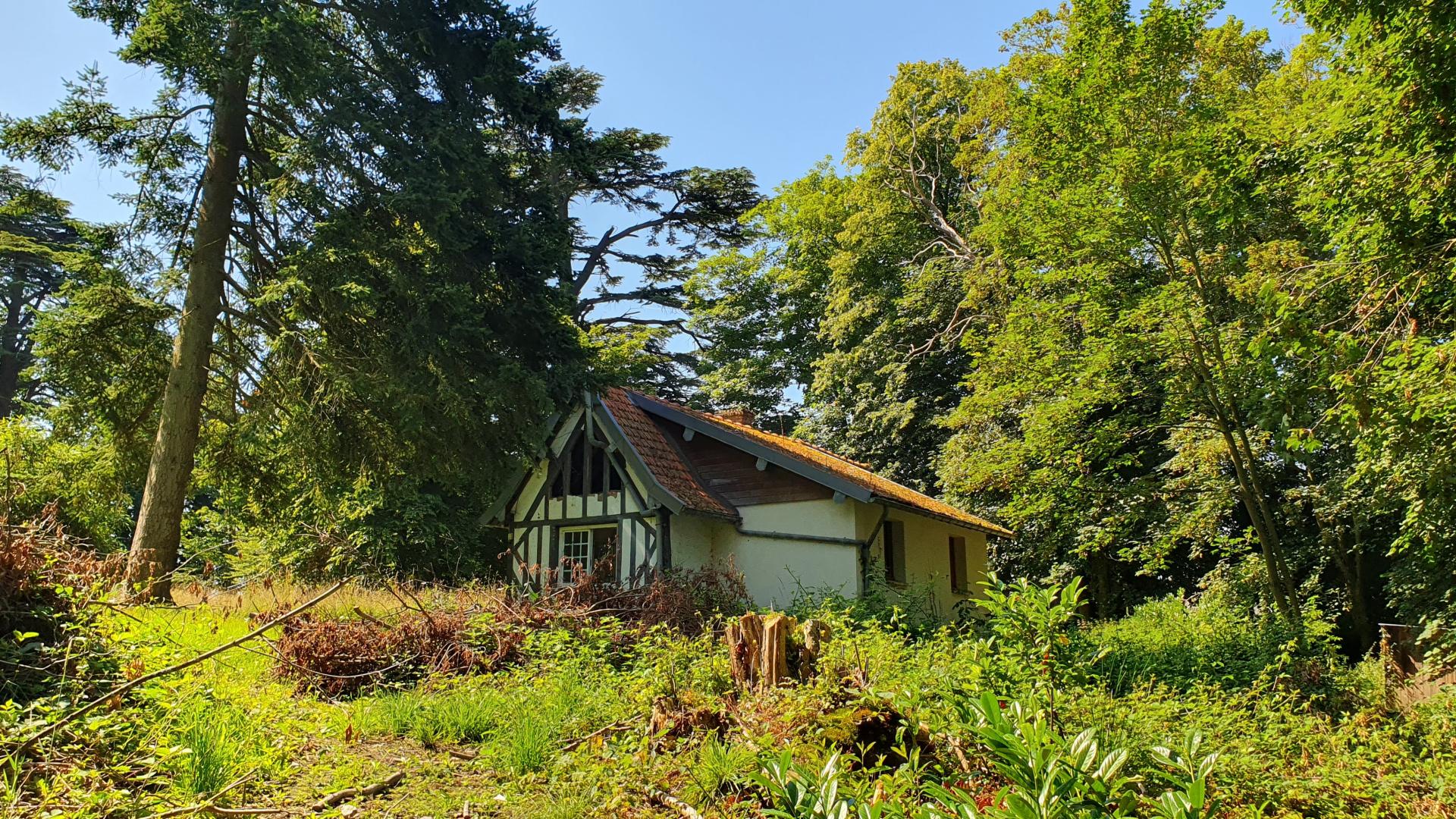 Photo 7 de l'annonce.