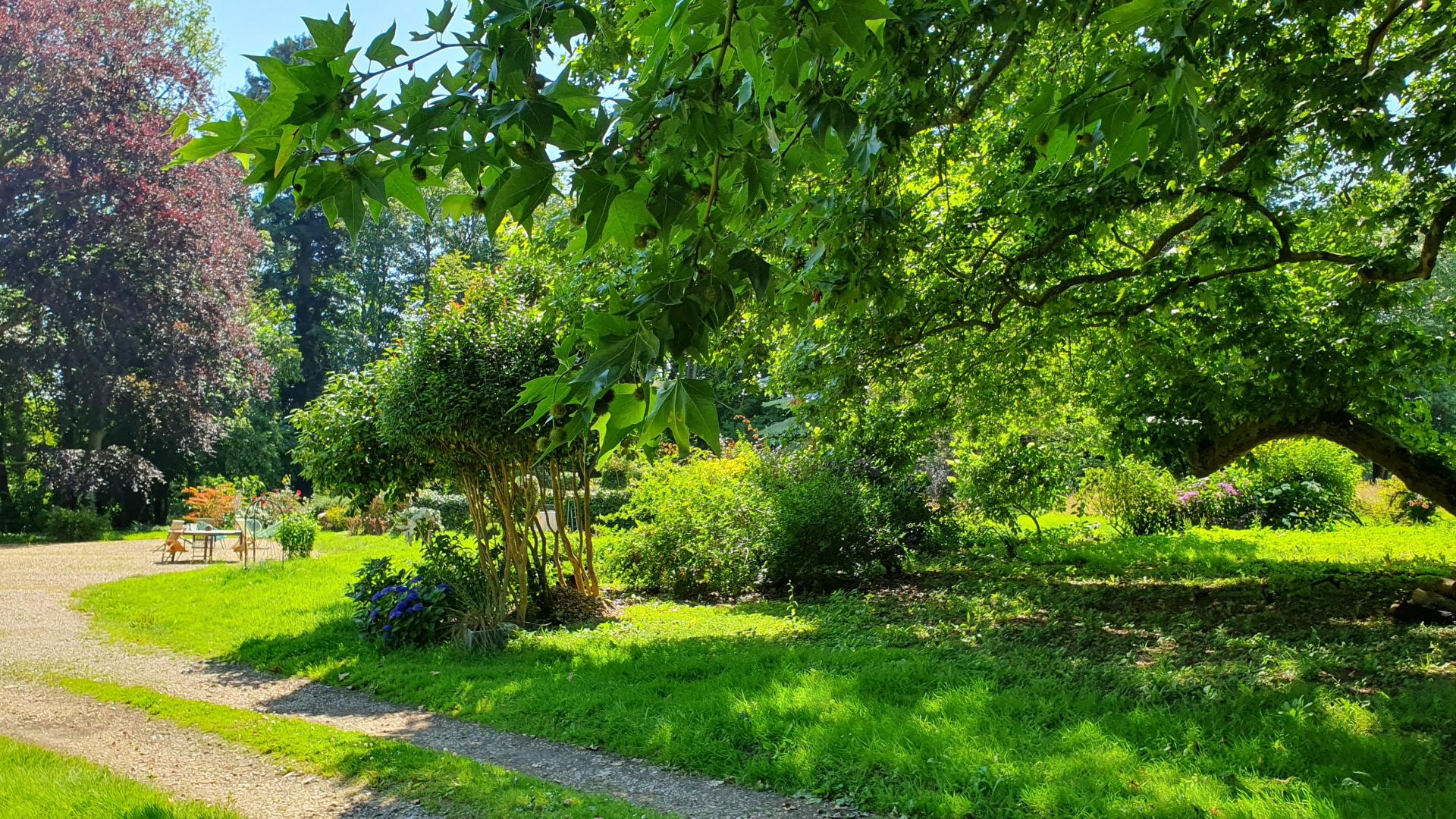 Photo 19 de l'annonce.