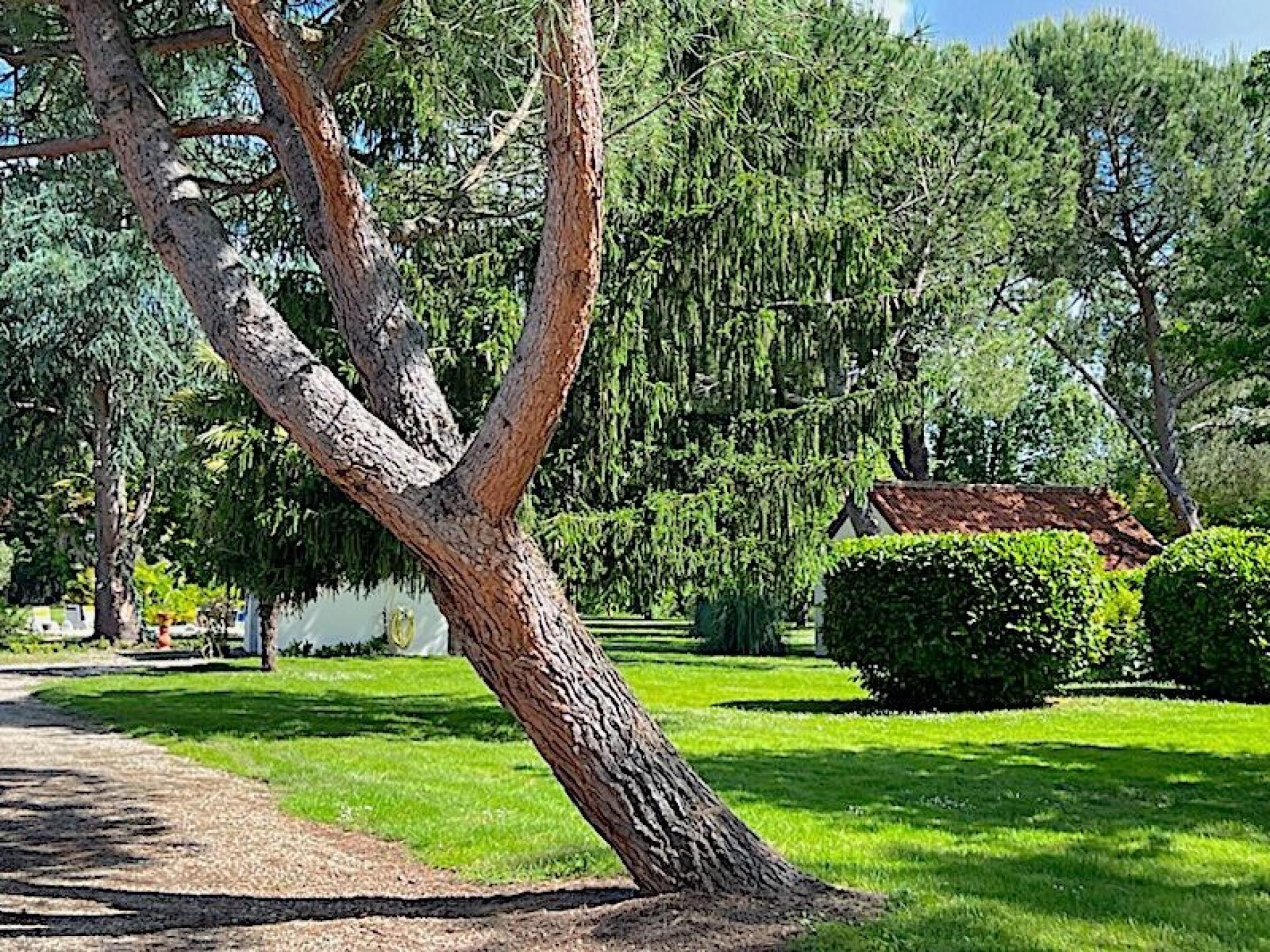 Photo 16 of the listing.