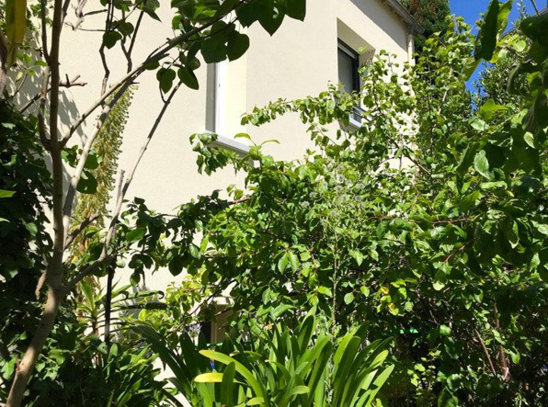 Photo 3 de l'annonce.