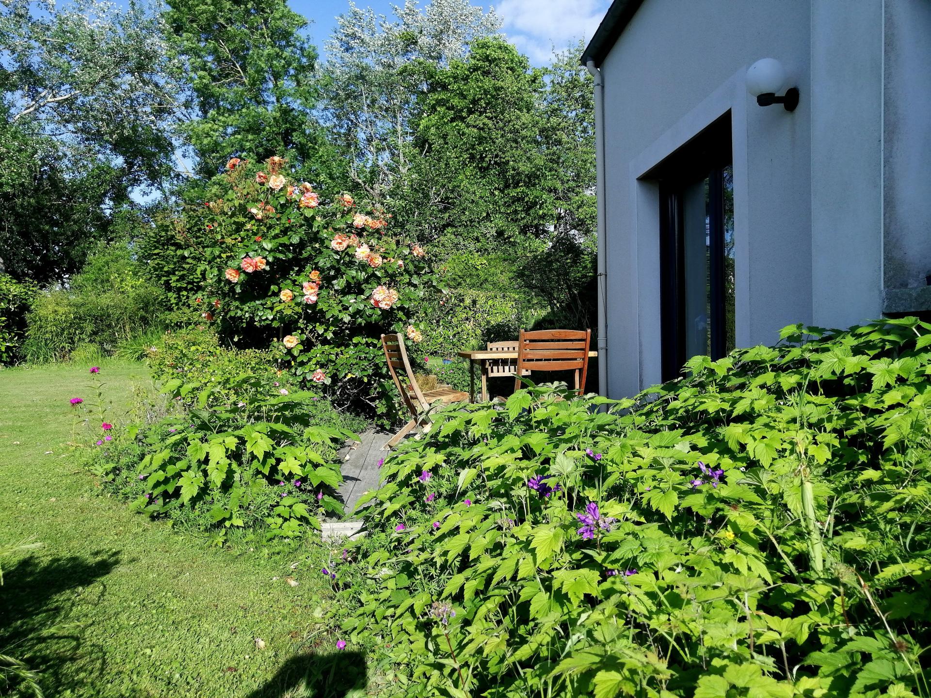 Photo 3 de l'annonce.