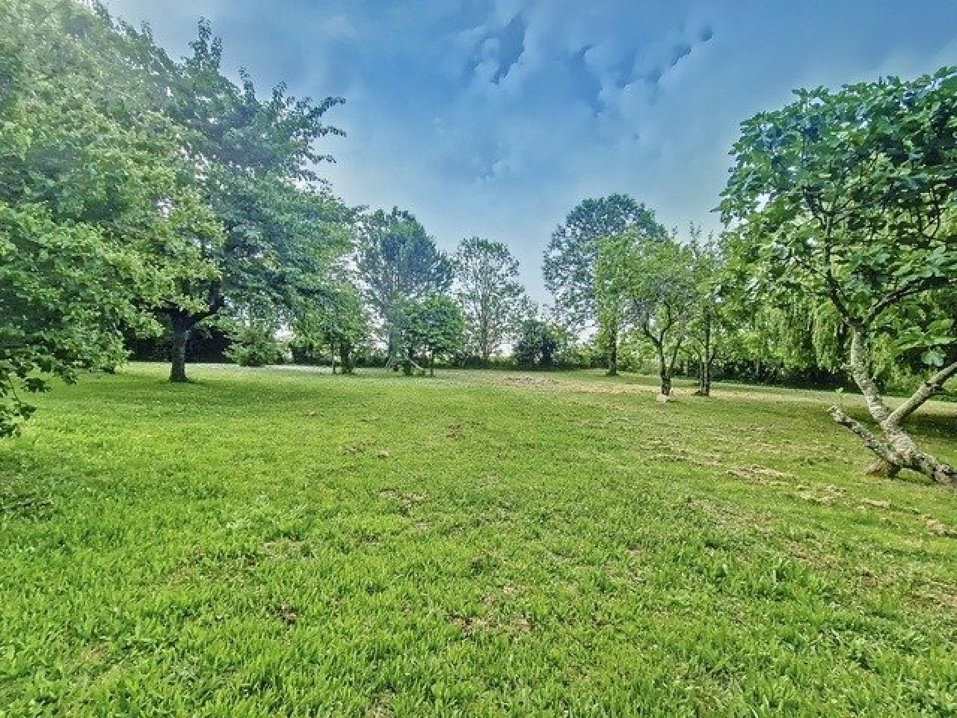 Photo 7 de l'annonce.